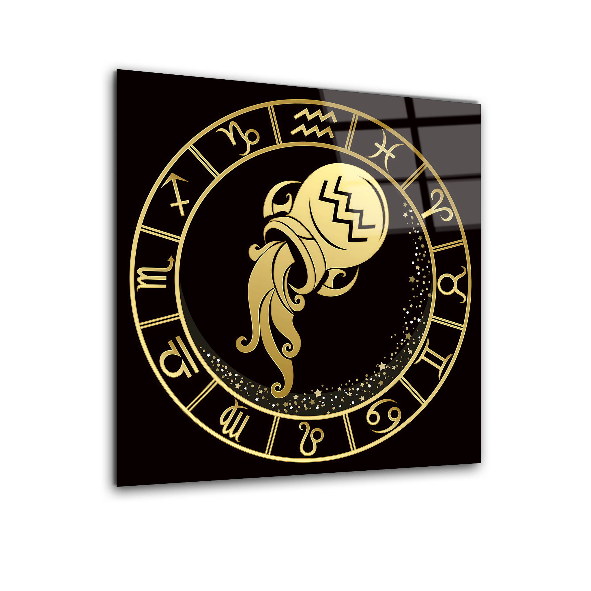 Aquarius Black & Gold | Premium HD Metal Wall Art