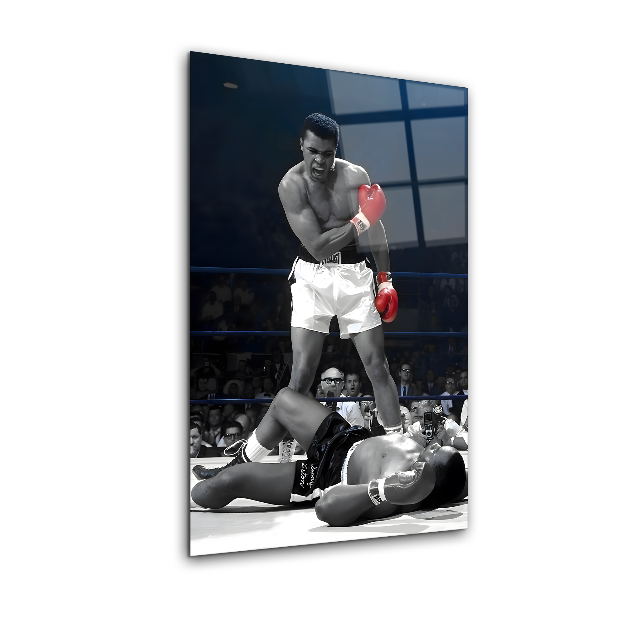 Muhammad Ali | Premium HD Metal Wall Art