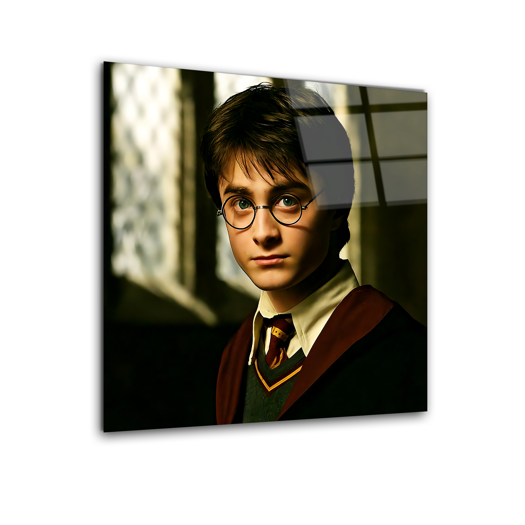 Harry Potter | Premium HD Metal Wall Art