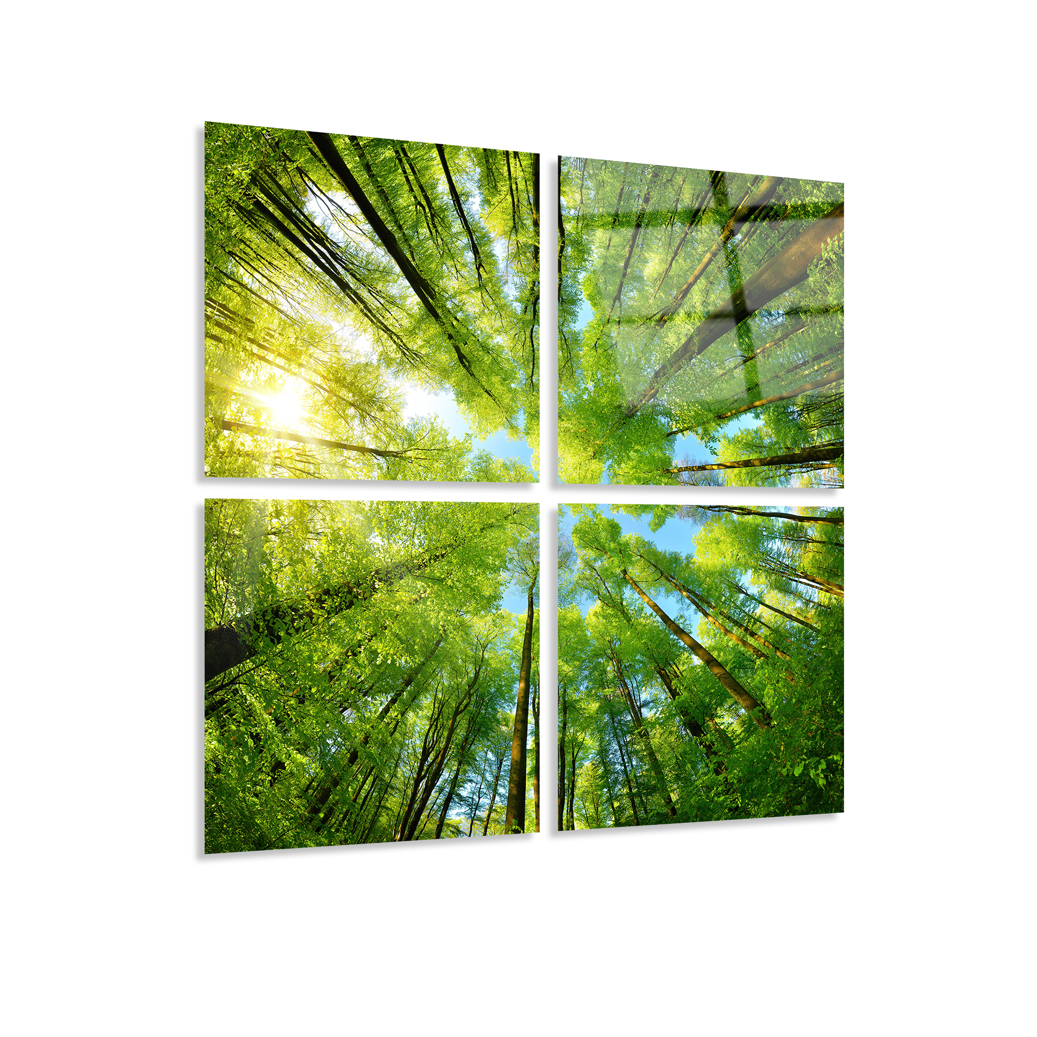 Mega Size Green Trees Quatro | Premium HD Metal Wall Art