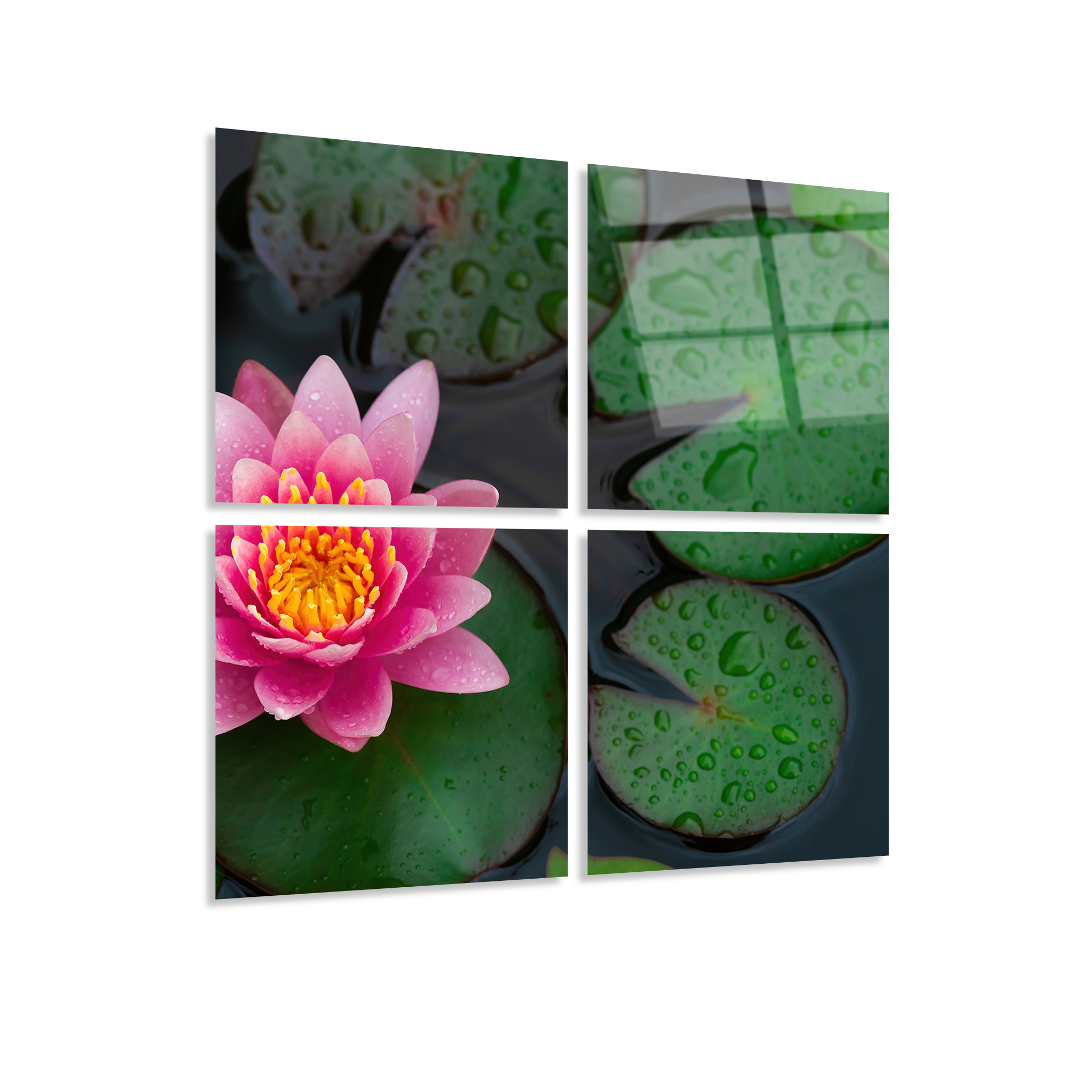 Mega Size Lotus Quatro | Premium HD Metal Wall Art