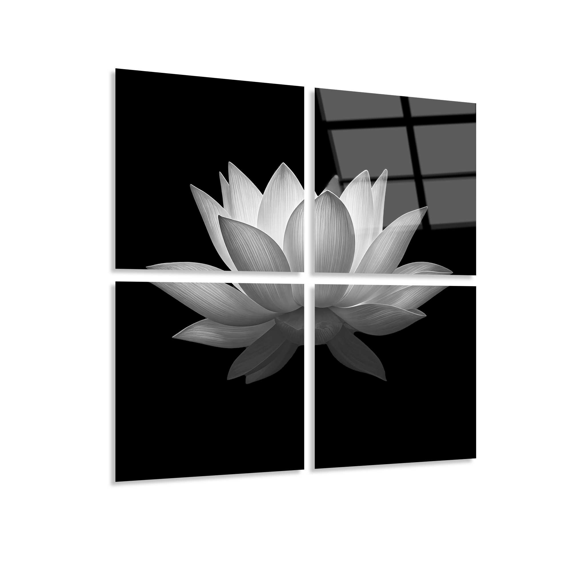 Mega Size White Lotus Quatro | Premium HD Metal Wall Art