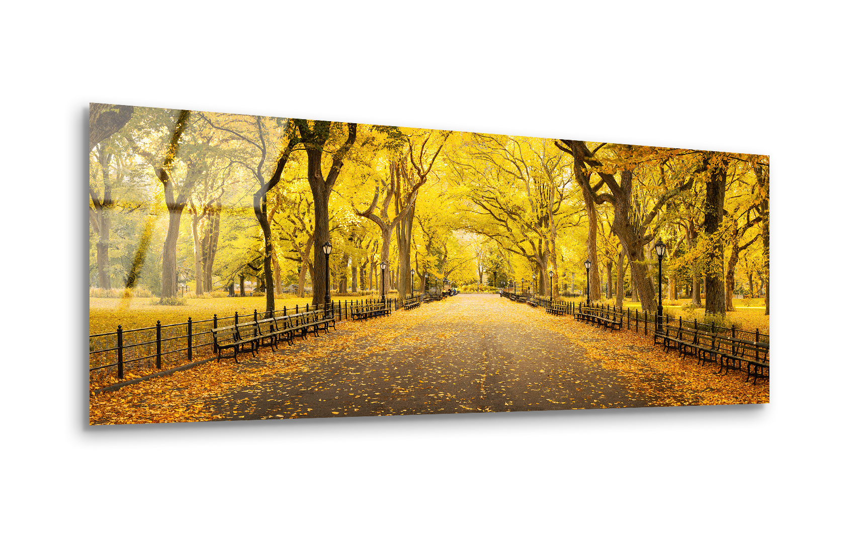 Central Park in Autumn | Premium HD Metal Wall Art - DezignArt