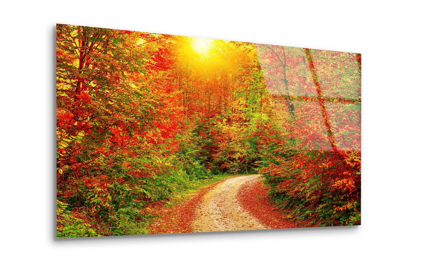 Autumn Forest Path | Premium HD Metal Wall Art - DezignArt