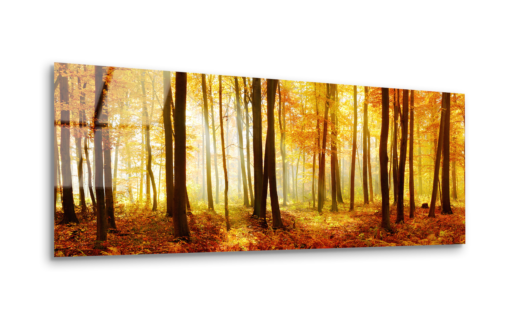 Autumn Forest with Sunbeams and Fog | Premium HD Metal Wall Art