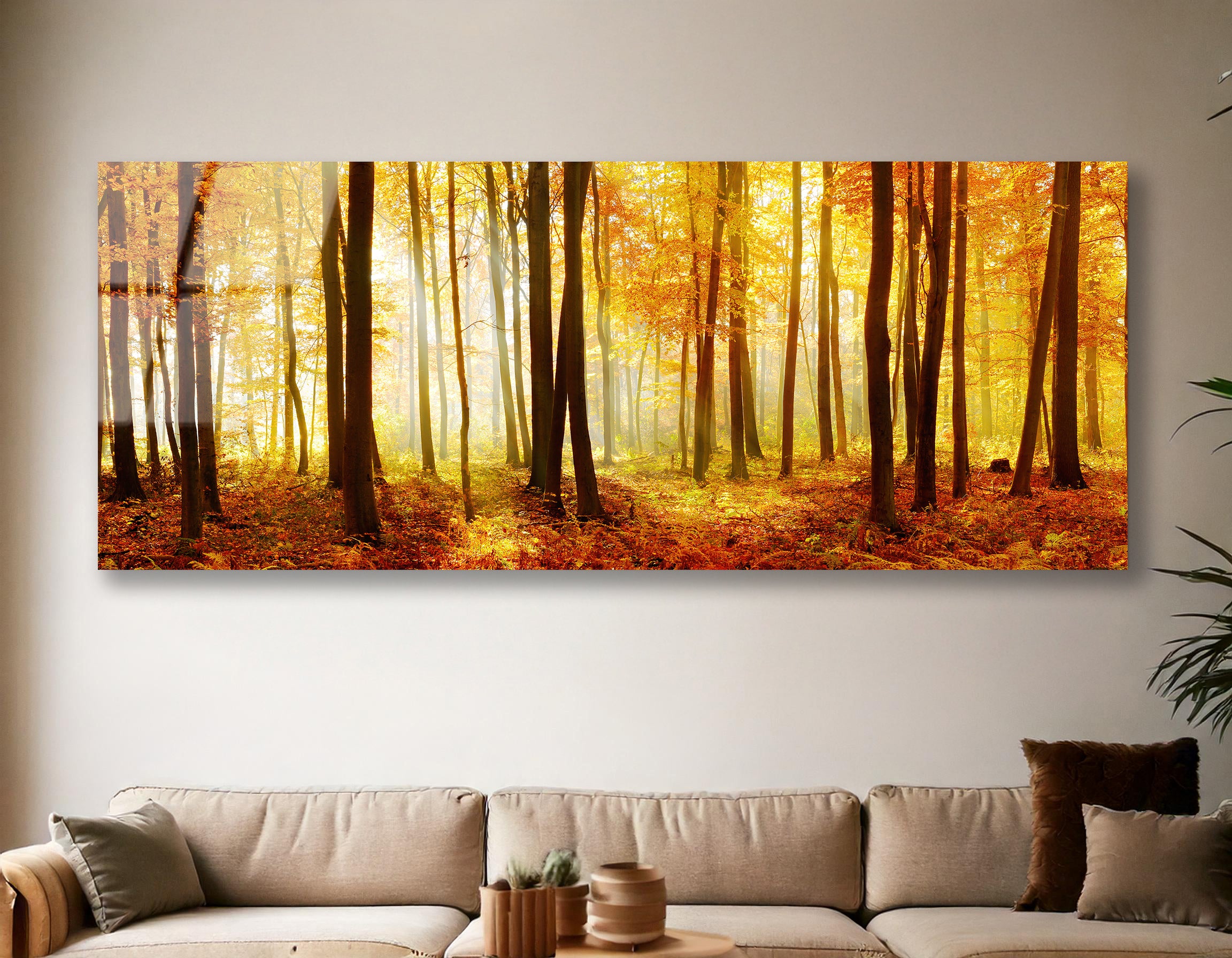 Autumn Forest with Sunbeams and Fog | Premium HD Metal Wall Art