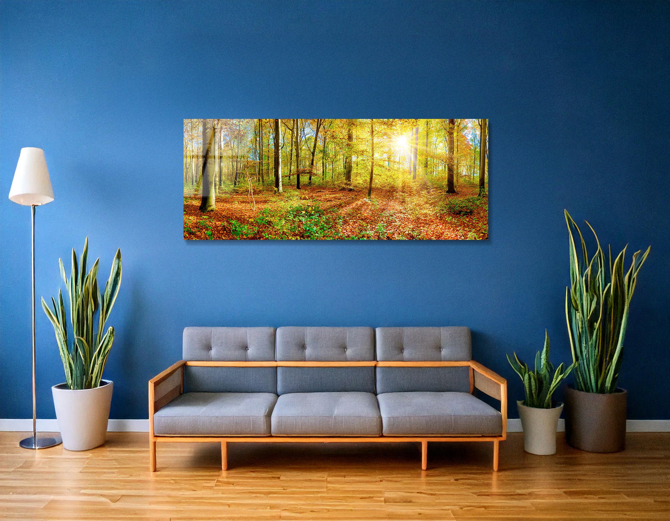 Panoramic Autumn Forest with Sunlit Trees | Premium HD Metal Wall Art