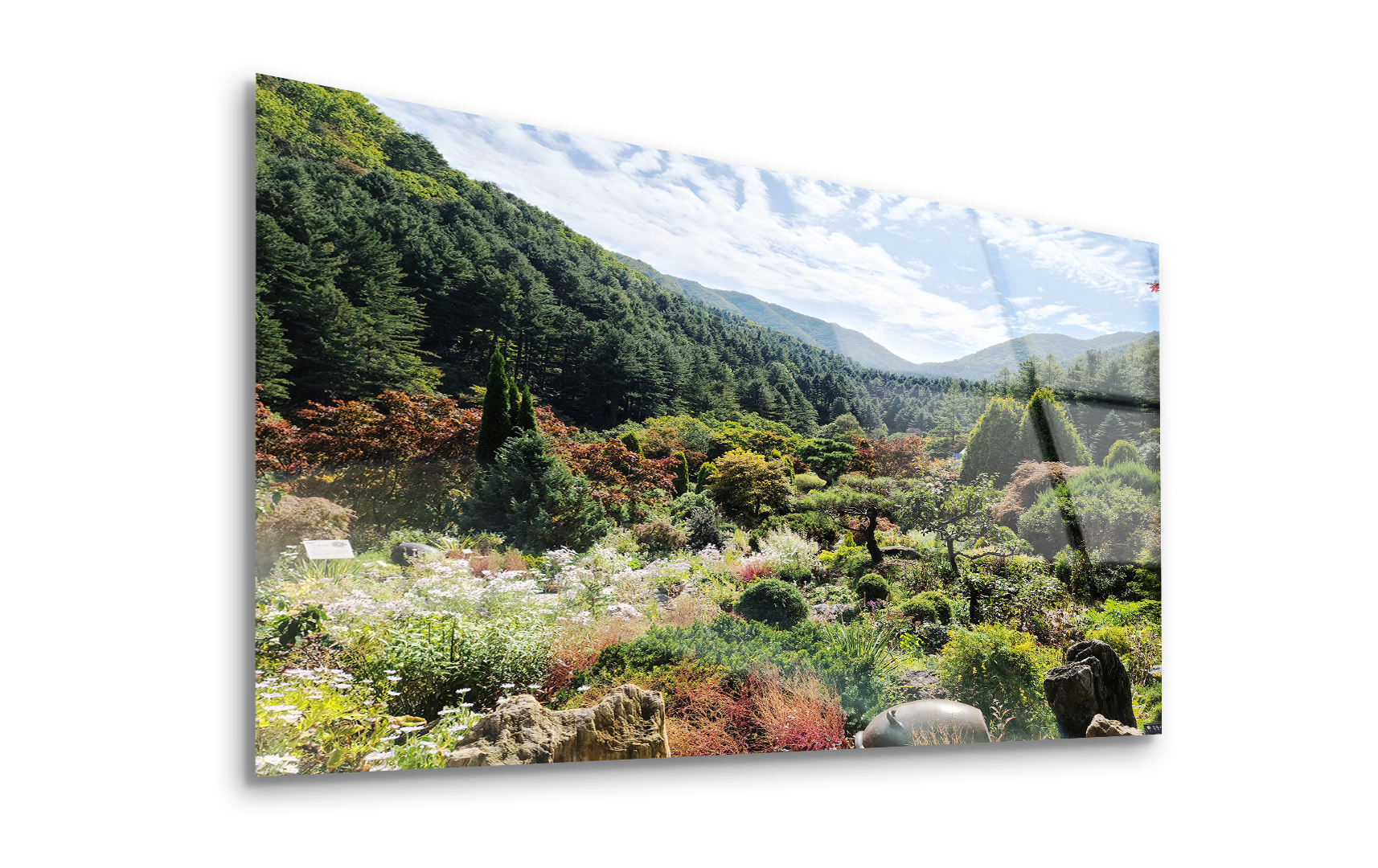 Vibrant Mountain Foliage | Premium HD Metal Wall Art - DezignArt