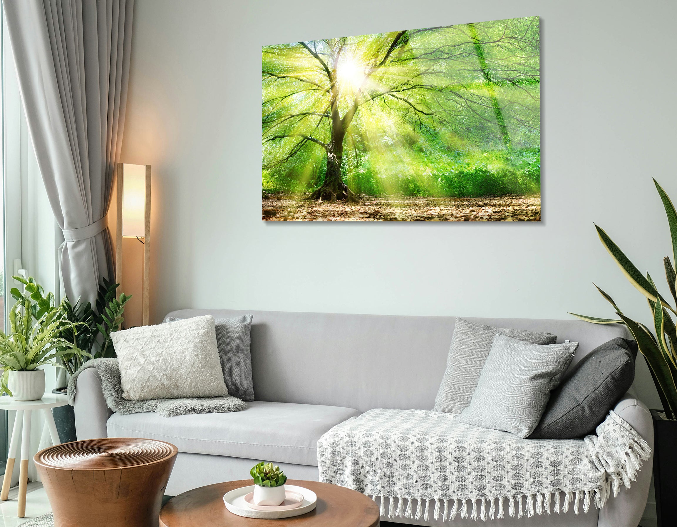Sunlit Forest Majesty | Premium HD Metal Wall Art - DezignArt