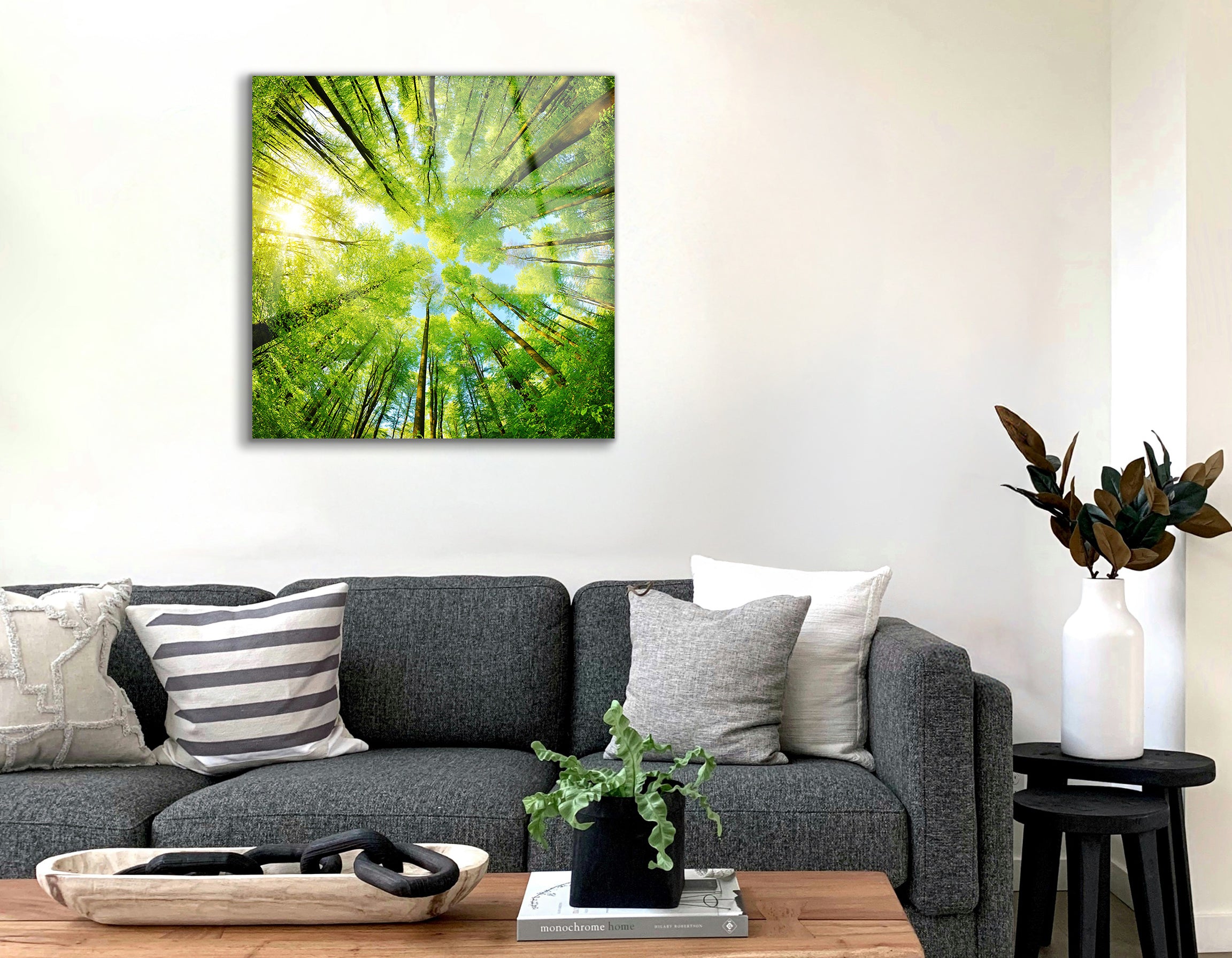 Spherical Panorama of a Forest with Treetop View | Premium HD Metal Wall Art
