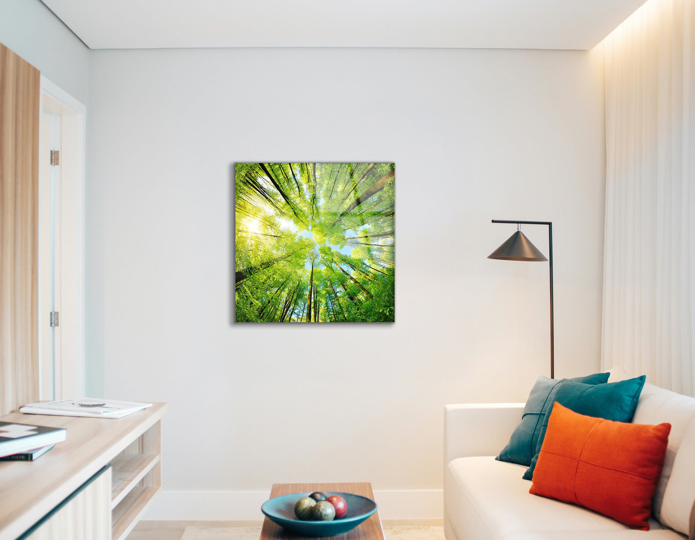 Spherical Panorama of a Forest with Treetop View | Premium HD Metal Wall Art