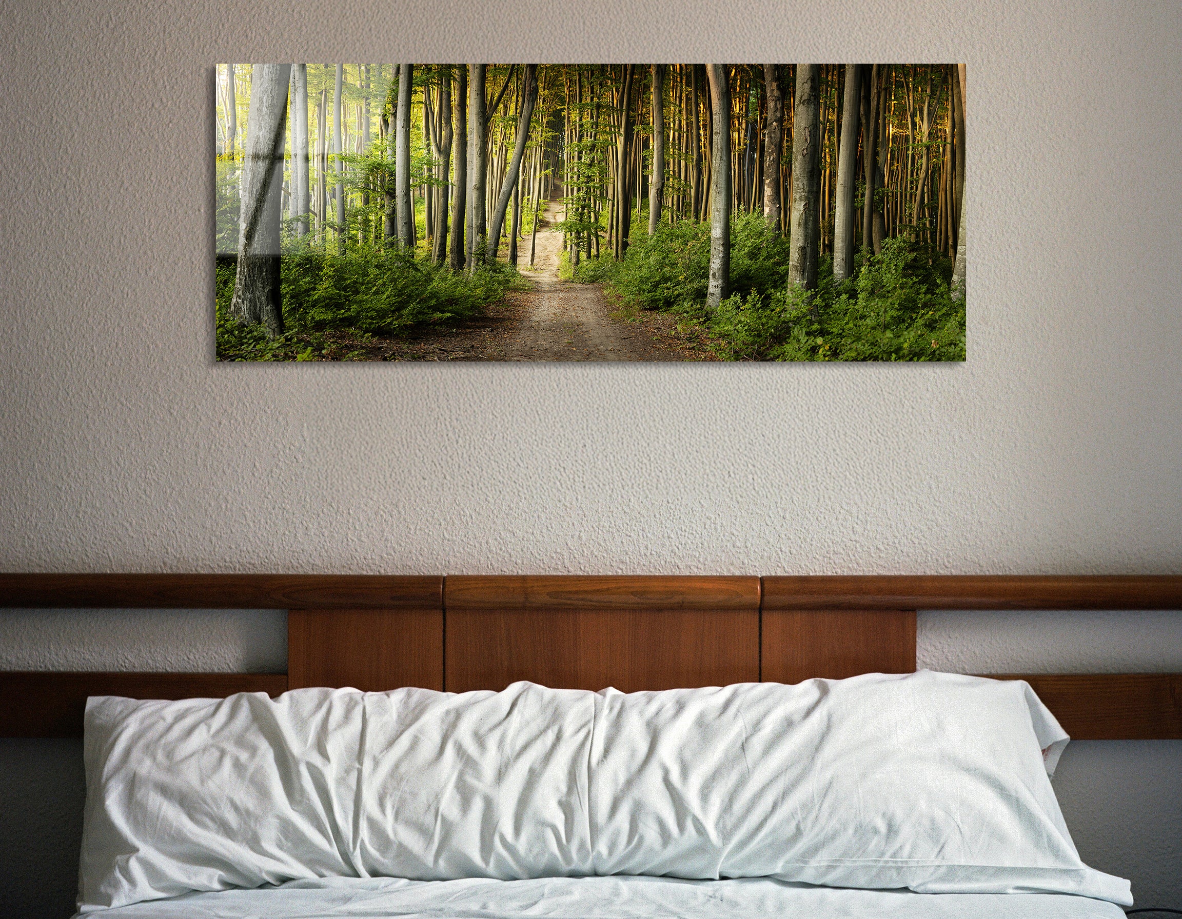 Autumn Forest Sunset | Premium HD Metal Wall Art