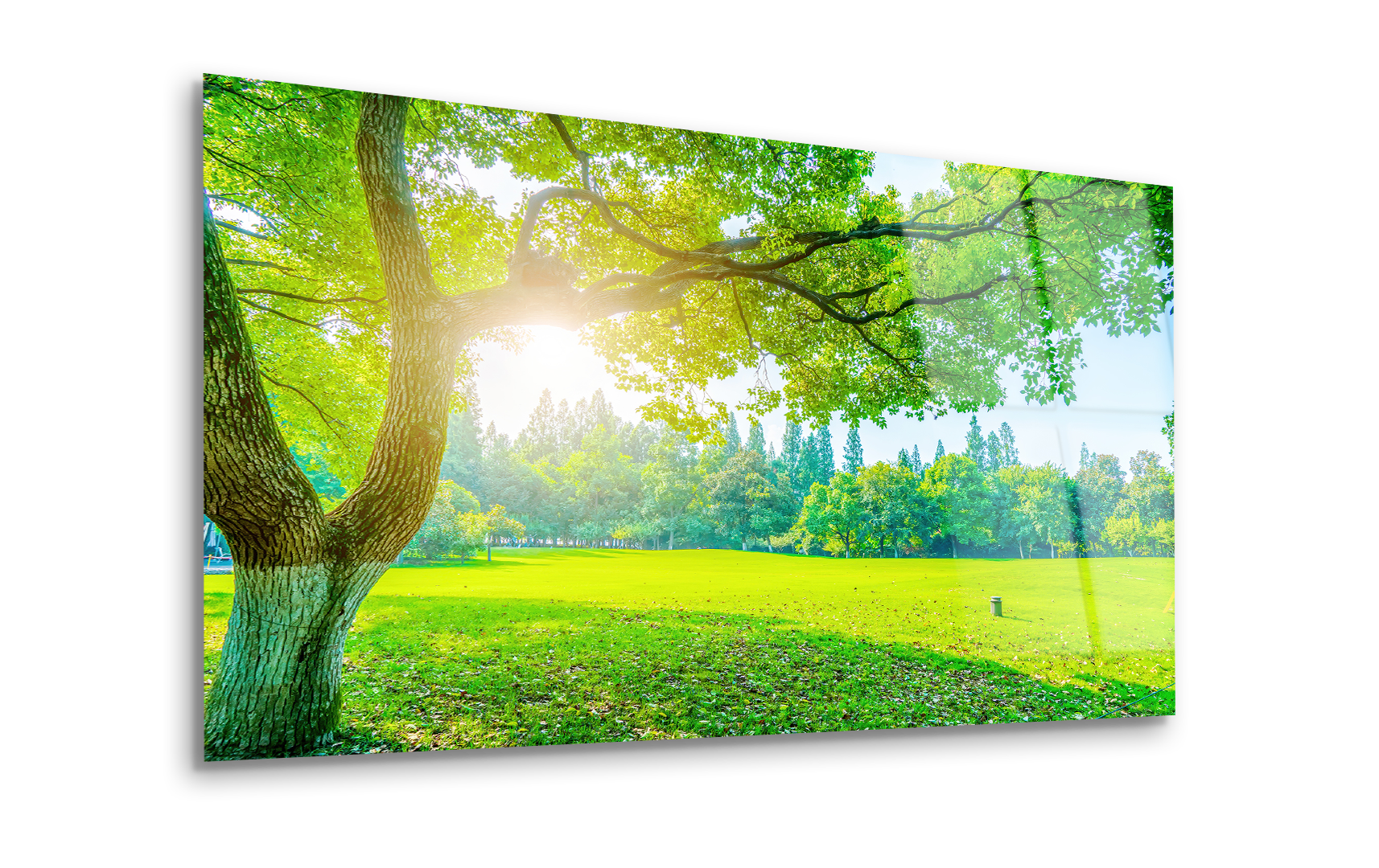 Lush Green Park Landscape | Premium HD Metal Wall Art - DezignArt
