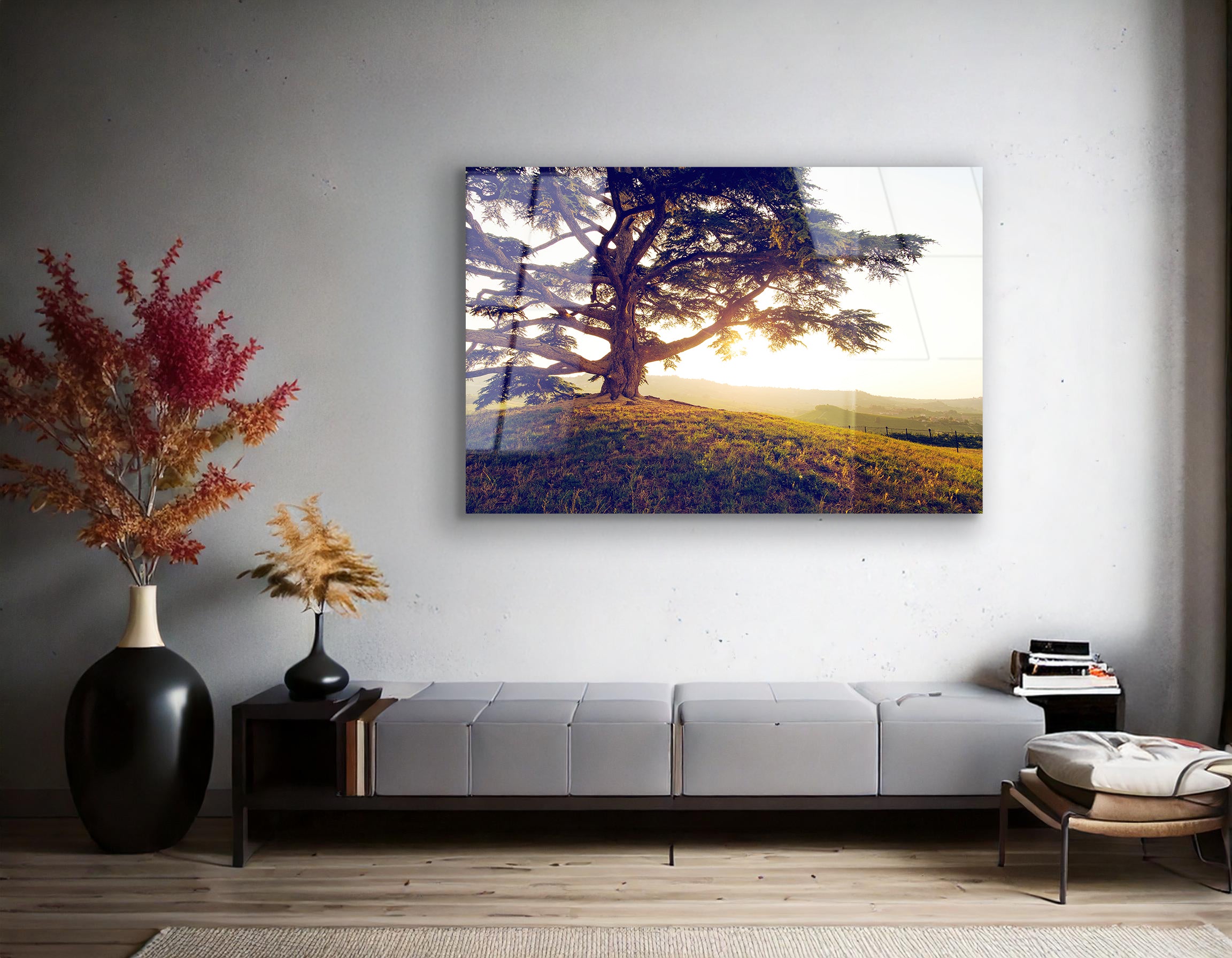 Old Lebanon Cedar | Premium HD Metal Wall Art - DezignArt