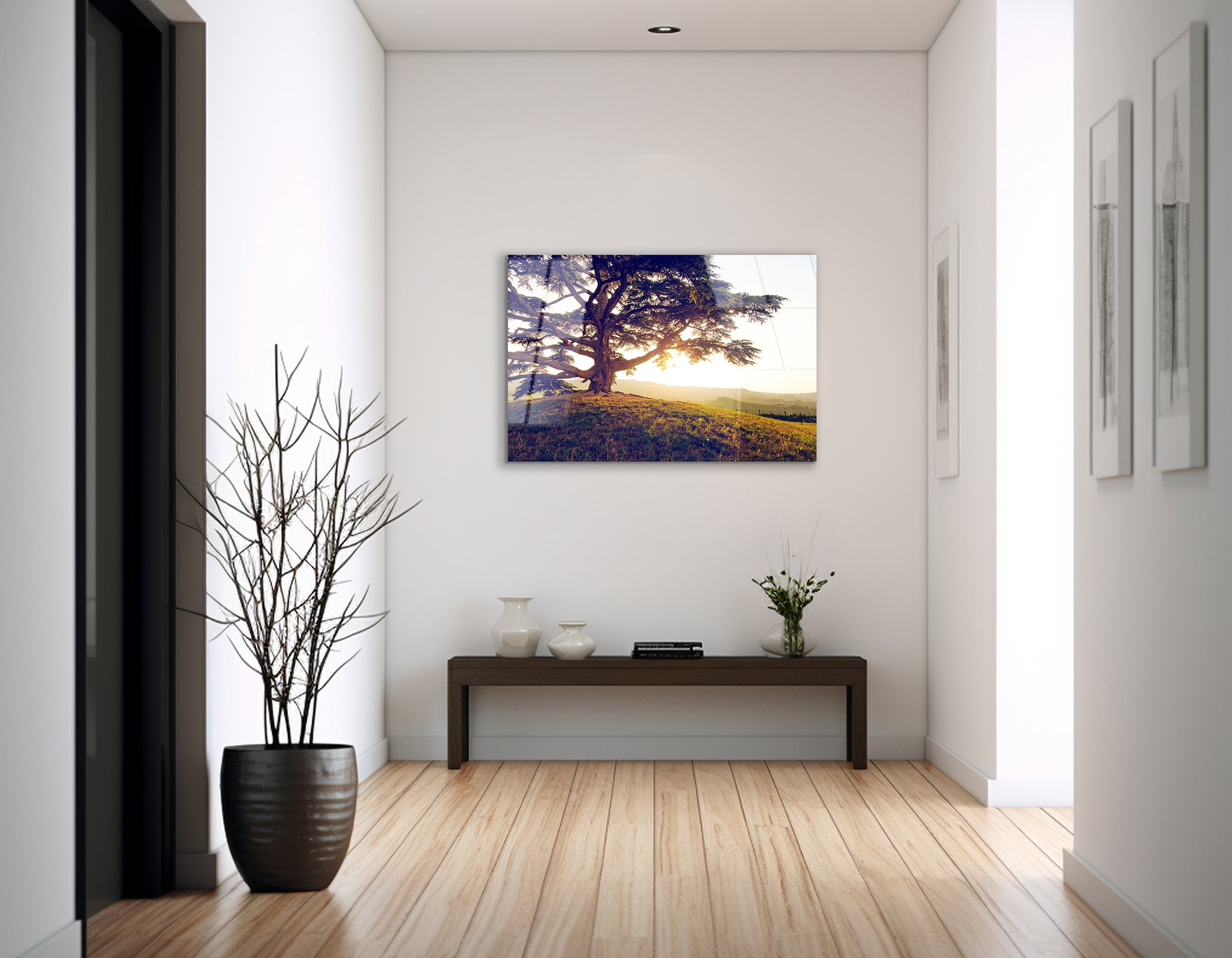 Old Lebanon Cedar | Premium HD Metal Wall Art - DezignArt