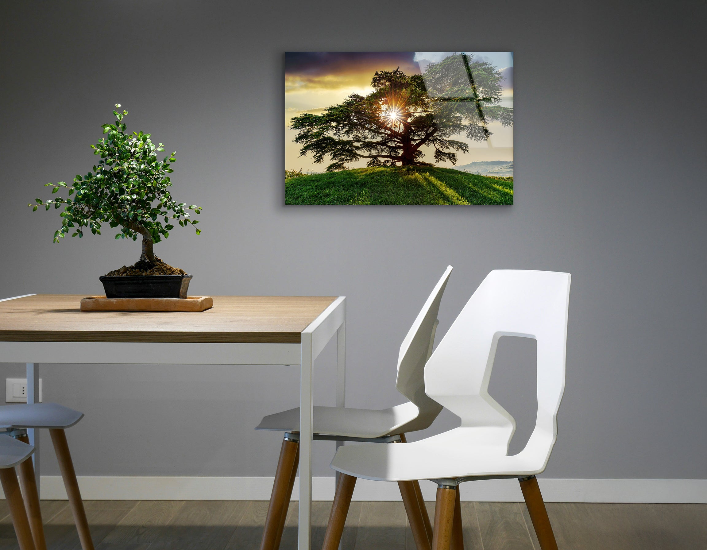 Cedar of Lebanon | Premium HD Metal Wall Art - DezignArt