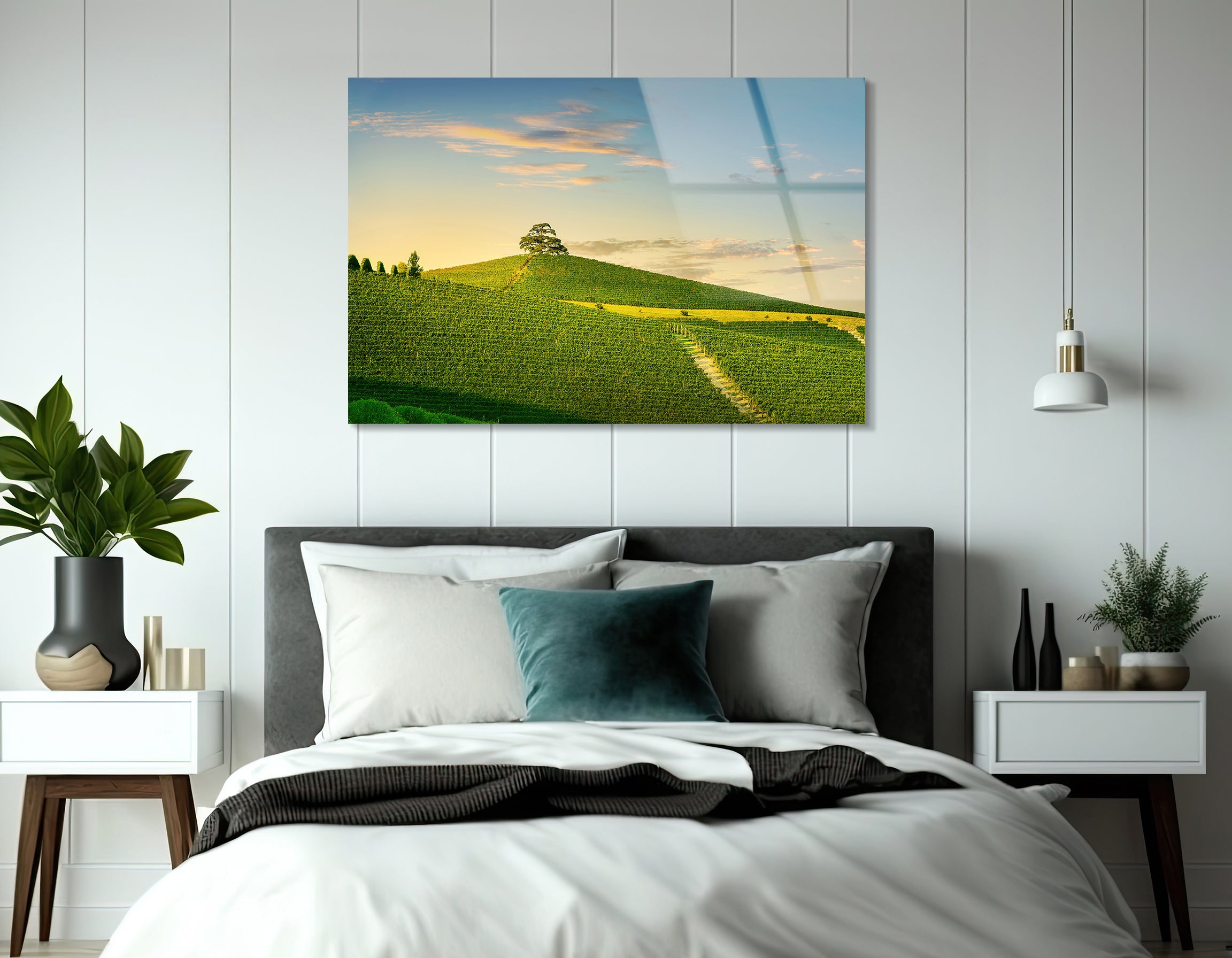 Langhe Vineyards & Cedar of Lebanon at Sunset | Premium HD Metal Wall Art - DezignArt
