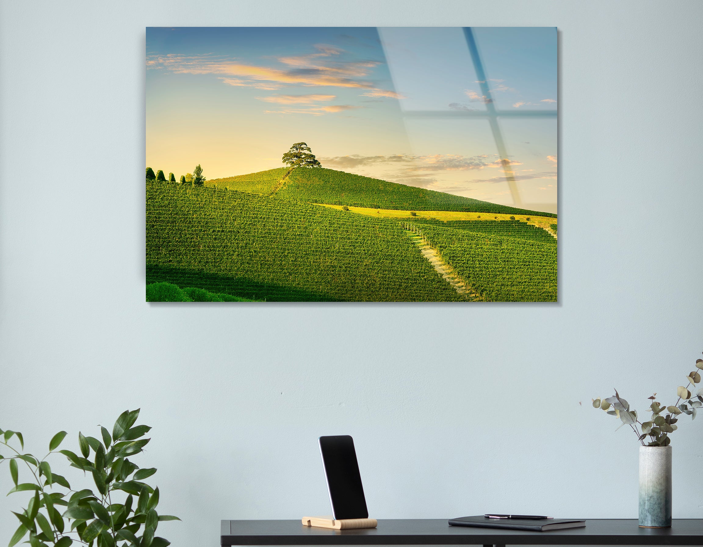 Langhe Vineyards & Cedar of Lebanon at Sunset | Premium HD Metal Wall Art - DezignArt