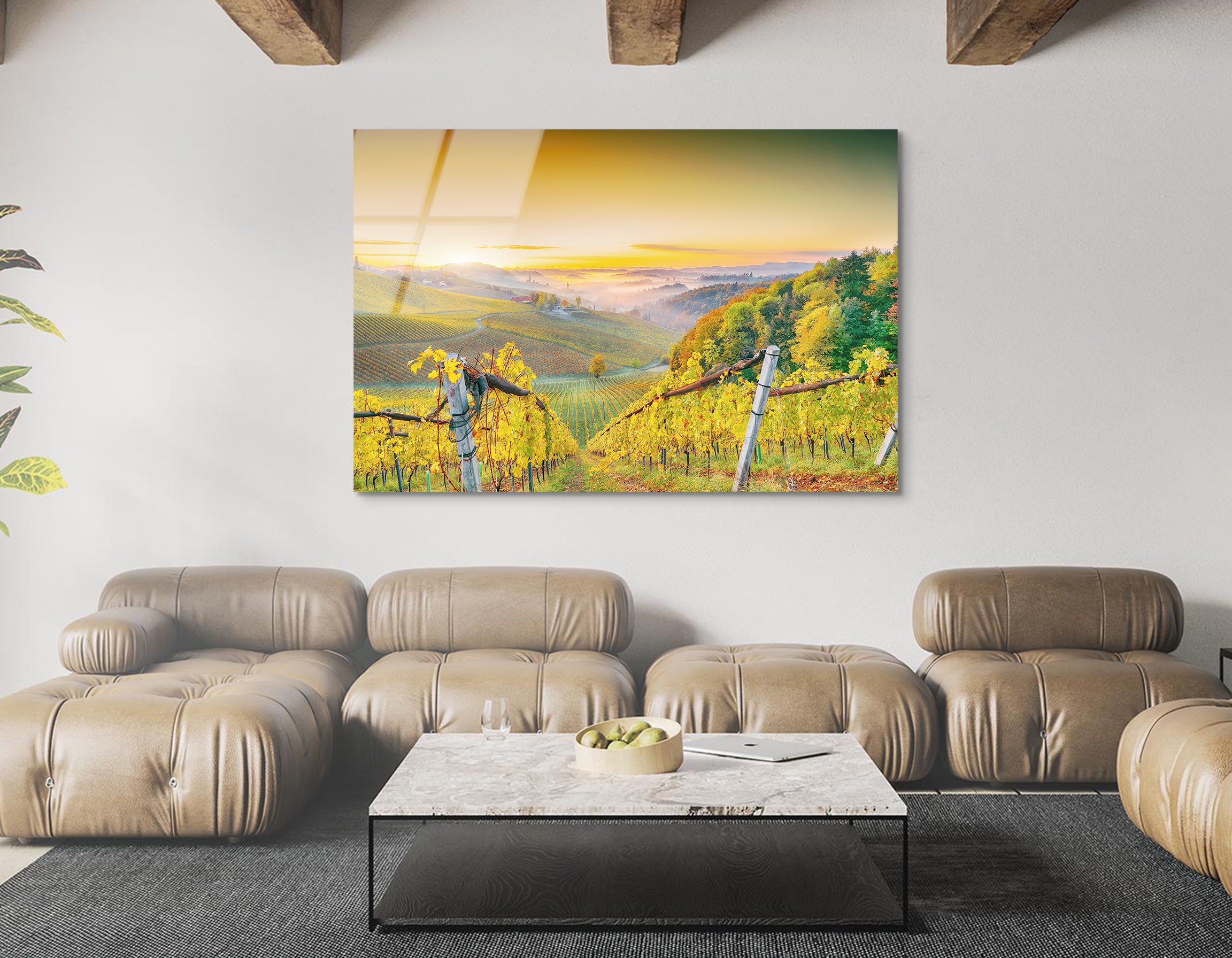 Golden Vineyards | Premium HD Metal Wall Art