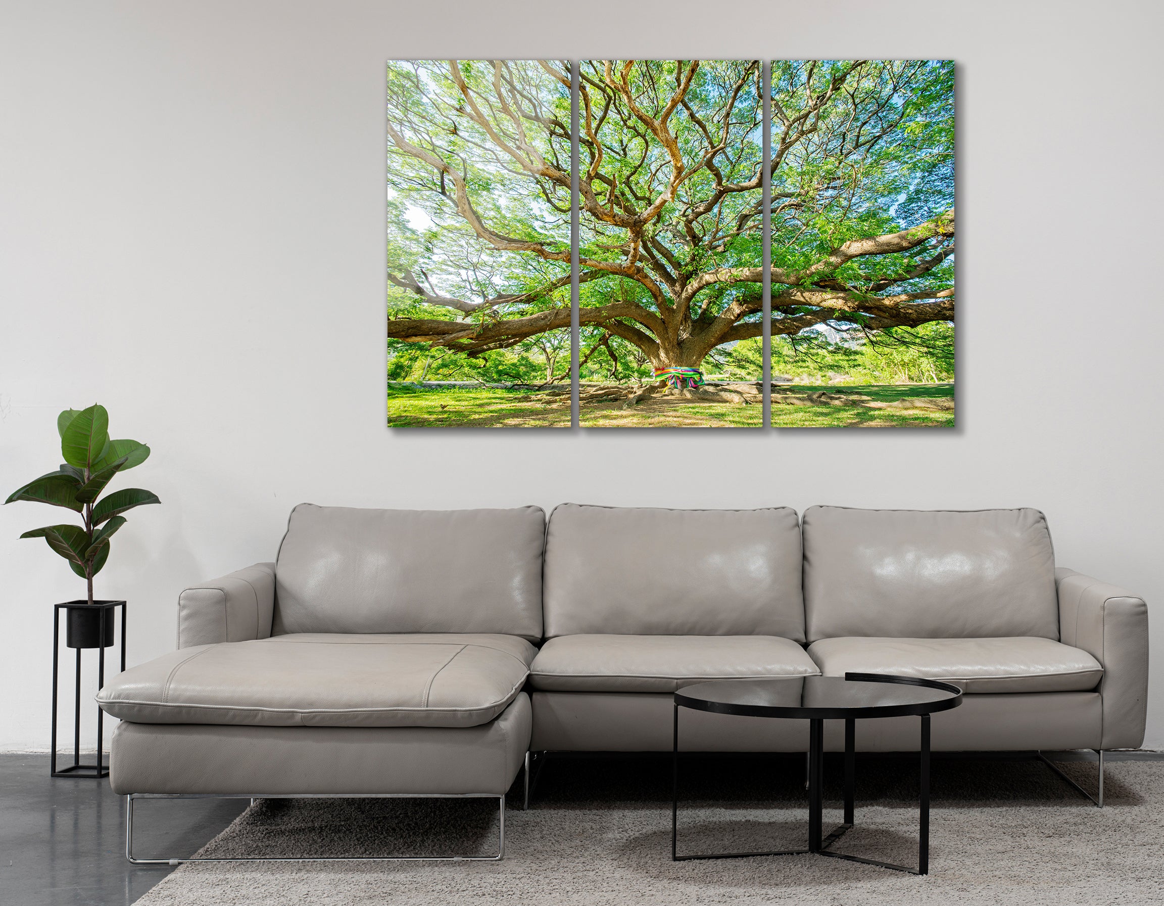 Mega Size Big Tree Trio | Premium HD Metal Wall Art