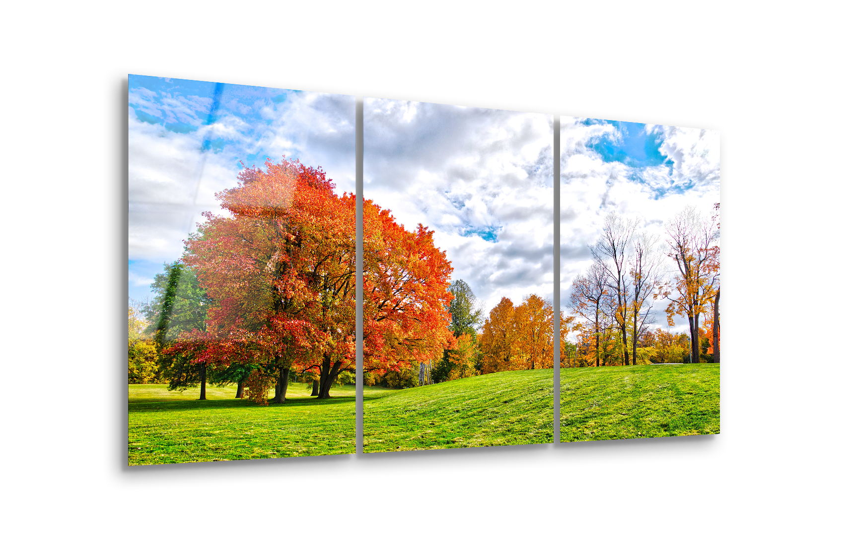 Mega Size Beautiful View of Autumn Leaf Color in Autumn Trio | Premium HD Metal Wall Art