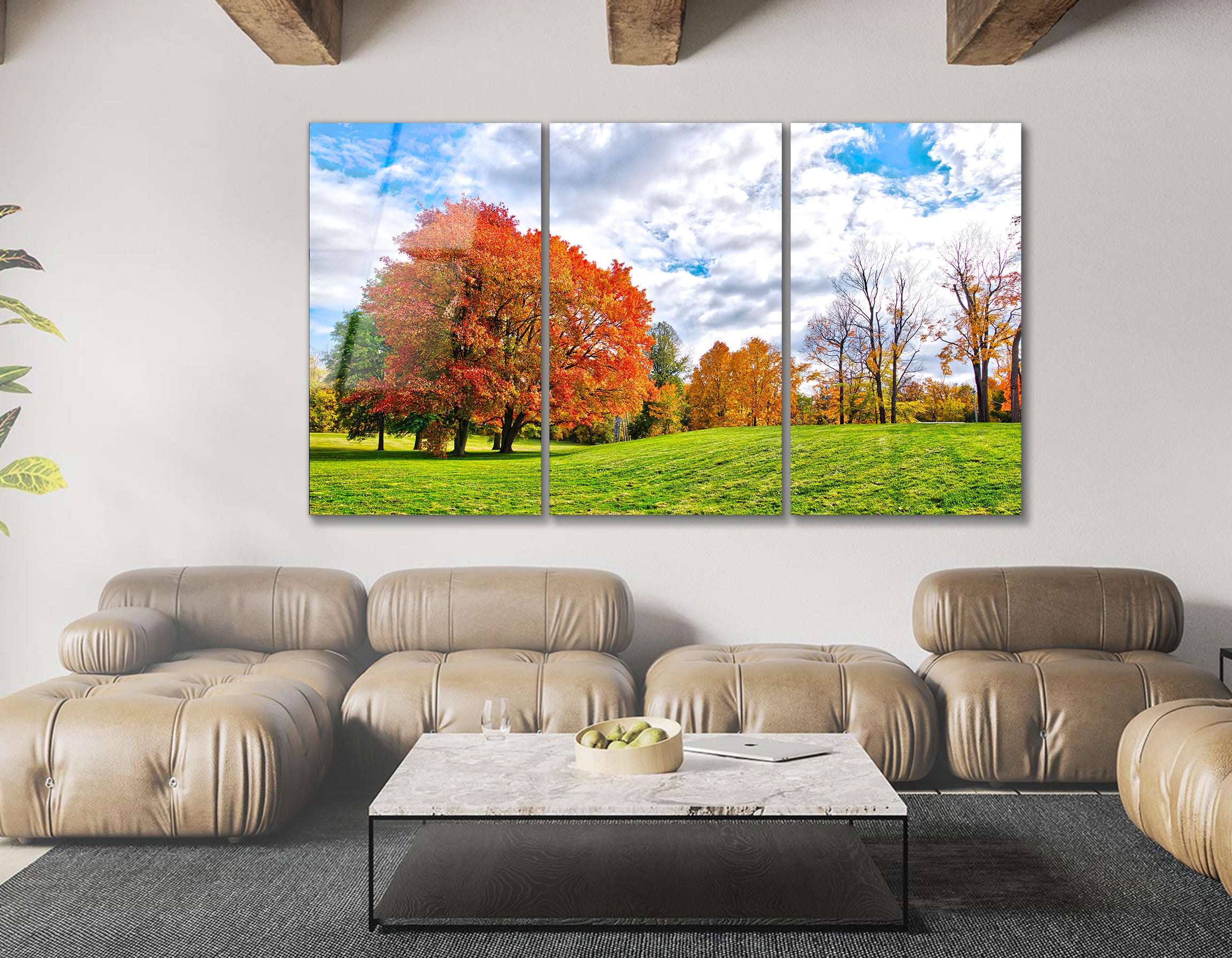 Mega Size Beautiful View of Autumn Leaf Color in Autumn Trio | Premium HD Metal Wall Art
