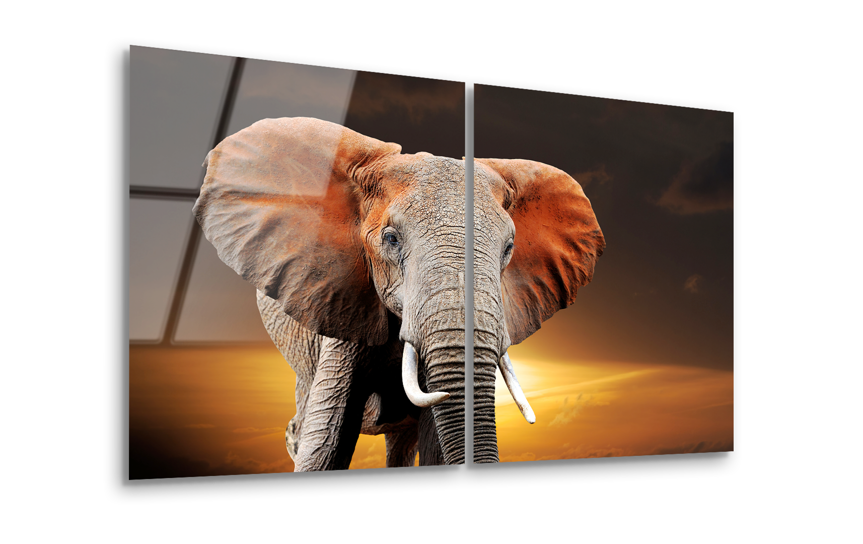 Mega Size Elephant on Sunset National Park Kenya Duo | Premium HD Metal Wall Art