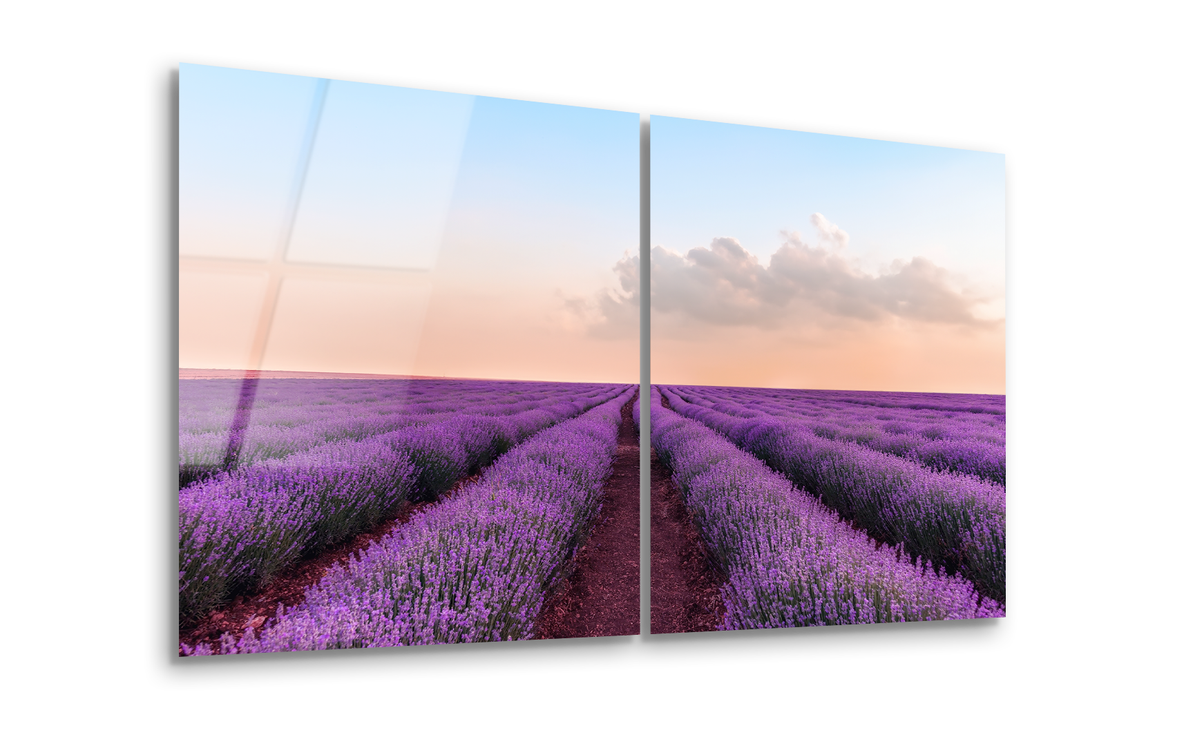 Mega Size Lavender Duo | Premium HD Metal Wall Art