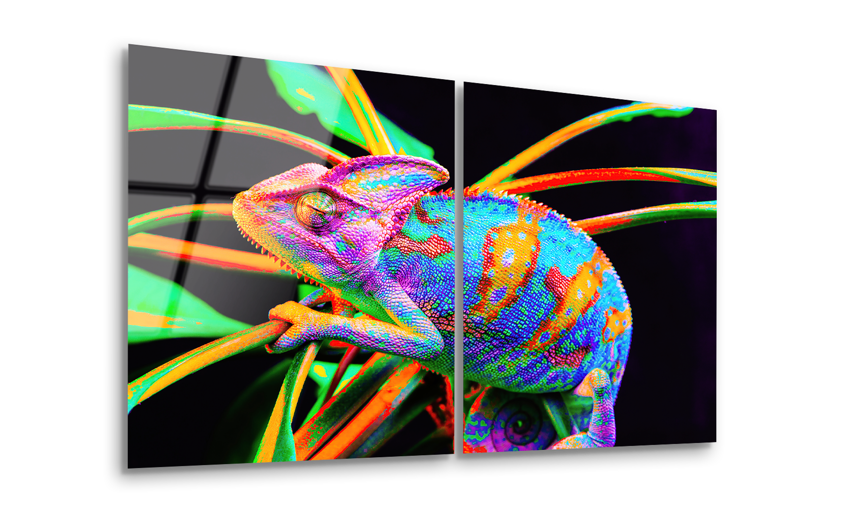 Mega Size Yemen Chameleon Duo | Premium HD Metal Wall Art