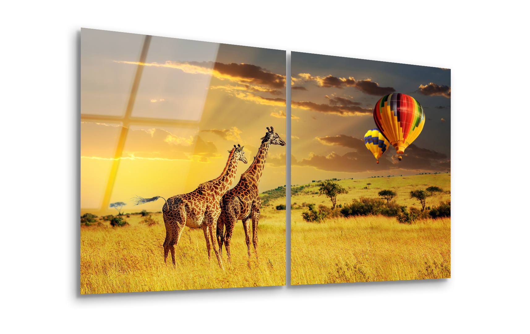 Mega Size African Safari Duo | Premium HD Metal Wall Art