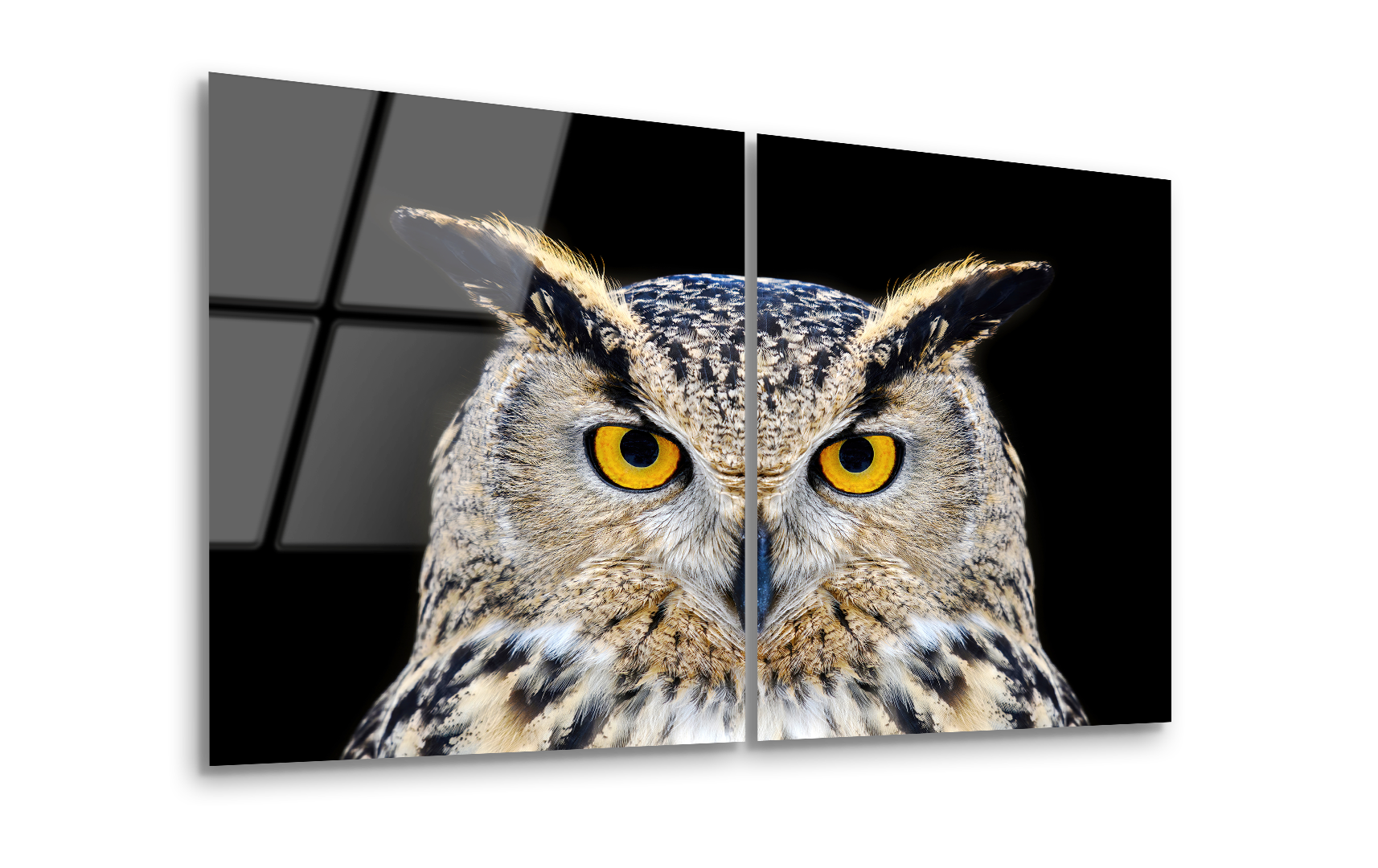 Mega Size Close-Up Owl Duo | Premium HD Metal Wall Art