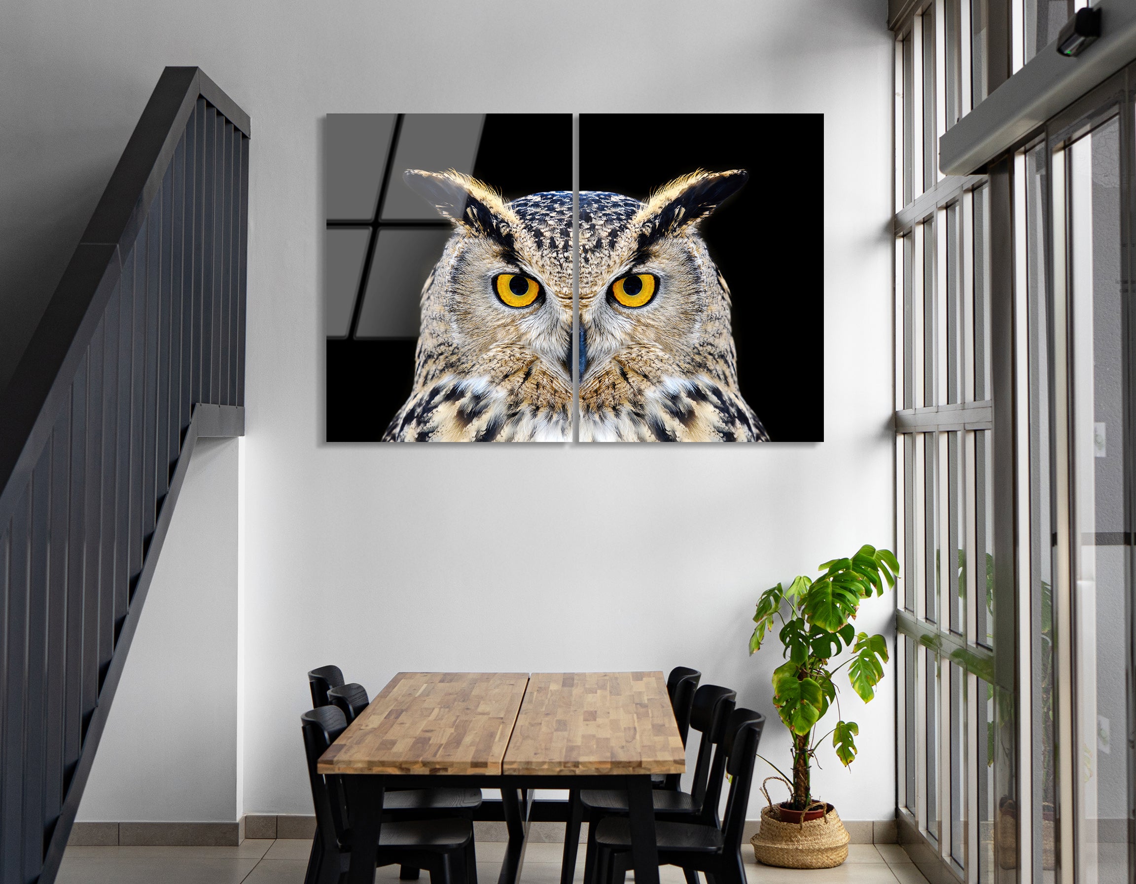 Mega Size Close-Up Owl Duo | Premium HD Metal Wall Art