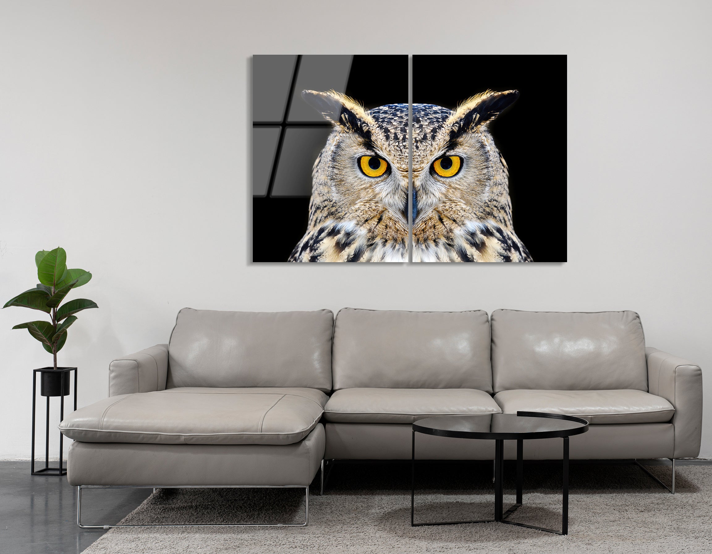Mega Size Close-Up Owl Duo | Premium HD Metal Wall Art