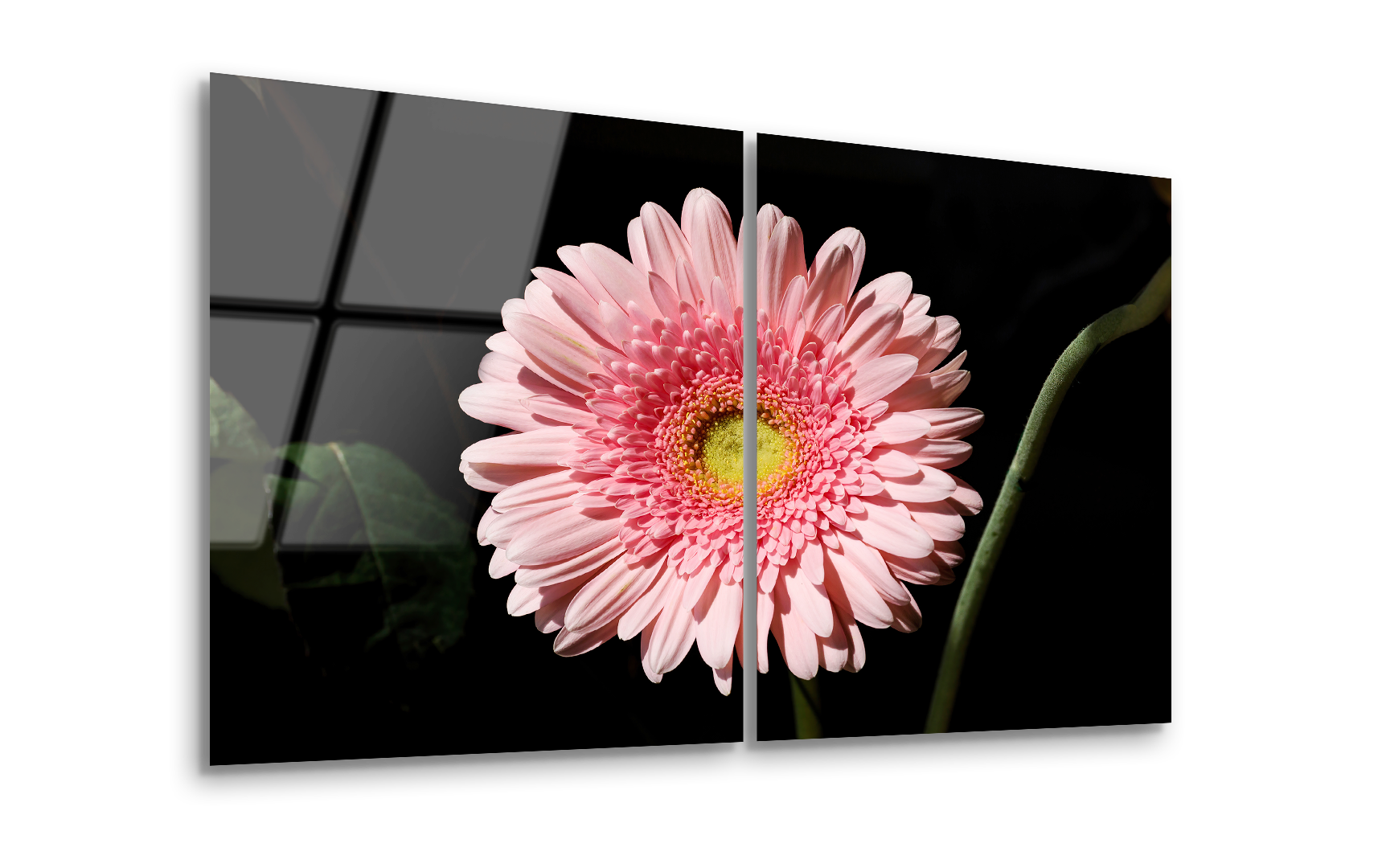 Mega Size Close-Up Flower Duo | Premium HD Metal Wall Art
