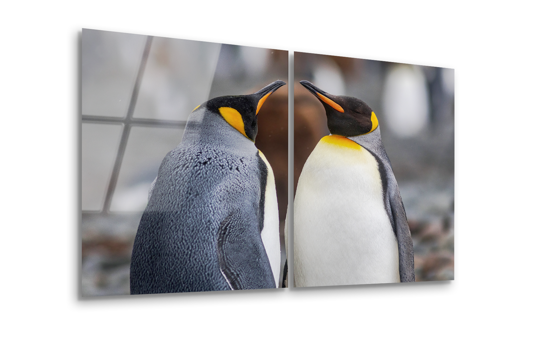 Mega Size Penguin Duo | Premium HD Metal Wall Art