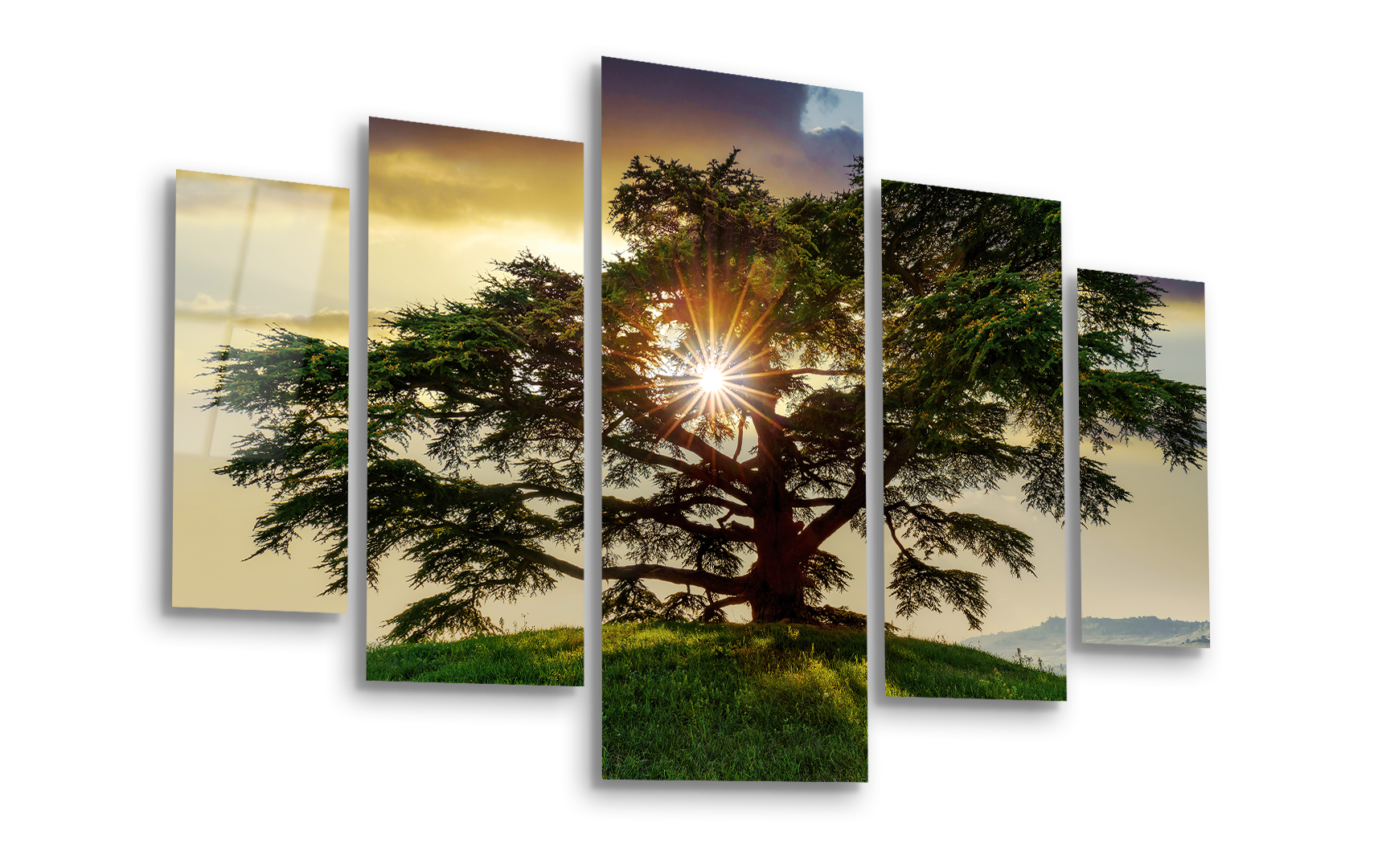 Mega Size Penta Cedar of Lebanon | Premium HD Metal Wall Art