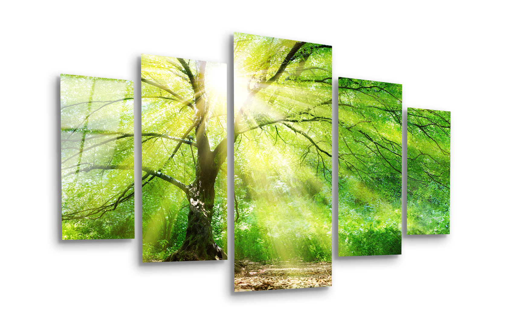 Mega Size Penta Forest Light | Premium HD Metal Wall Art