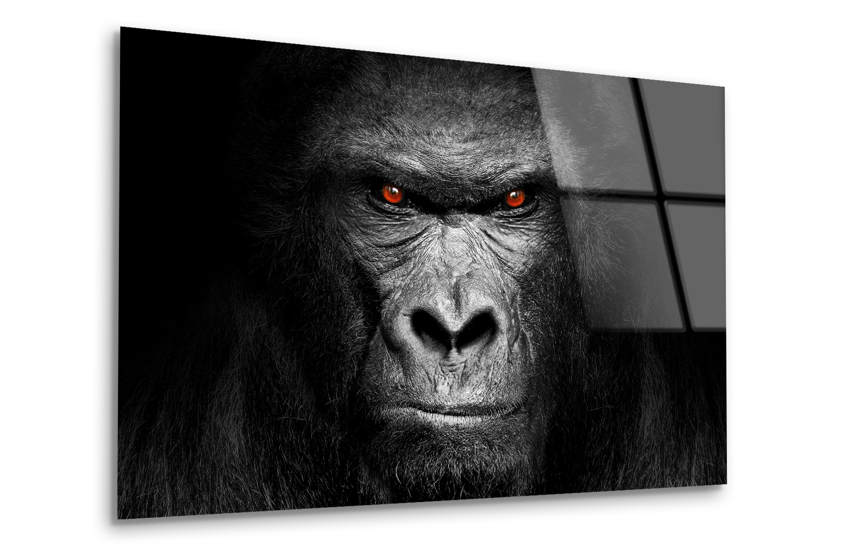Gorilla Face - Powerful Mammal Eyes | Premium HD Metal Wall Art - DezignArt