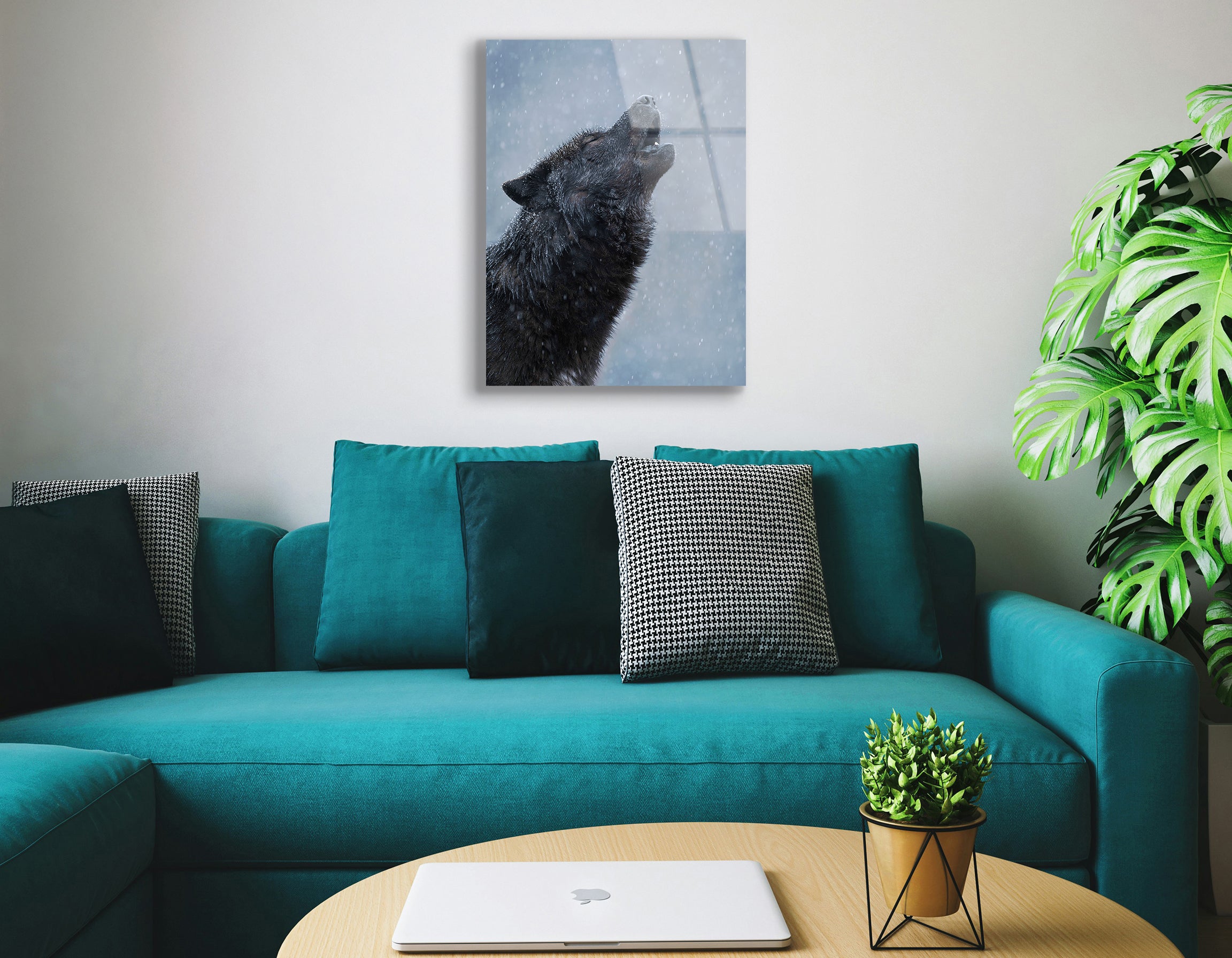 Howling Black Canadian Wolf in Winter | Premium HD Metal Wall Art