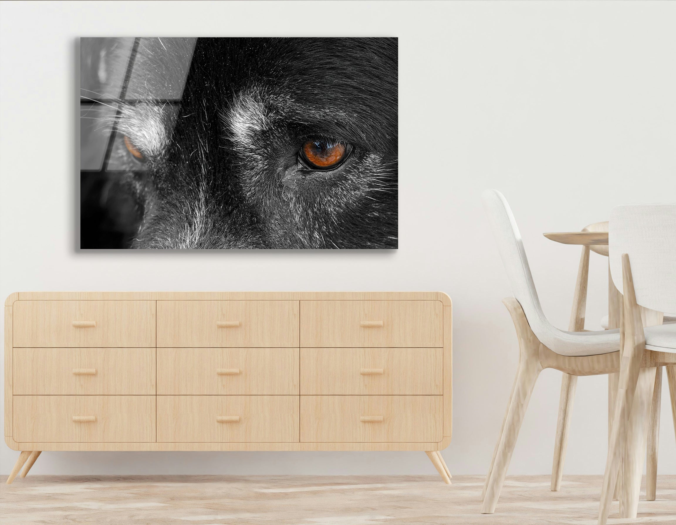 Close-Up of Dog's Eye | Premium HD Metal Wall Art