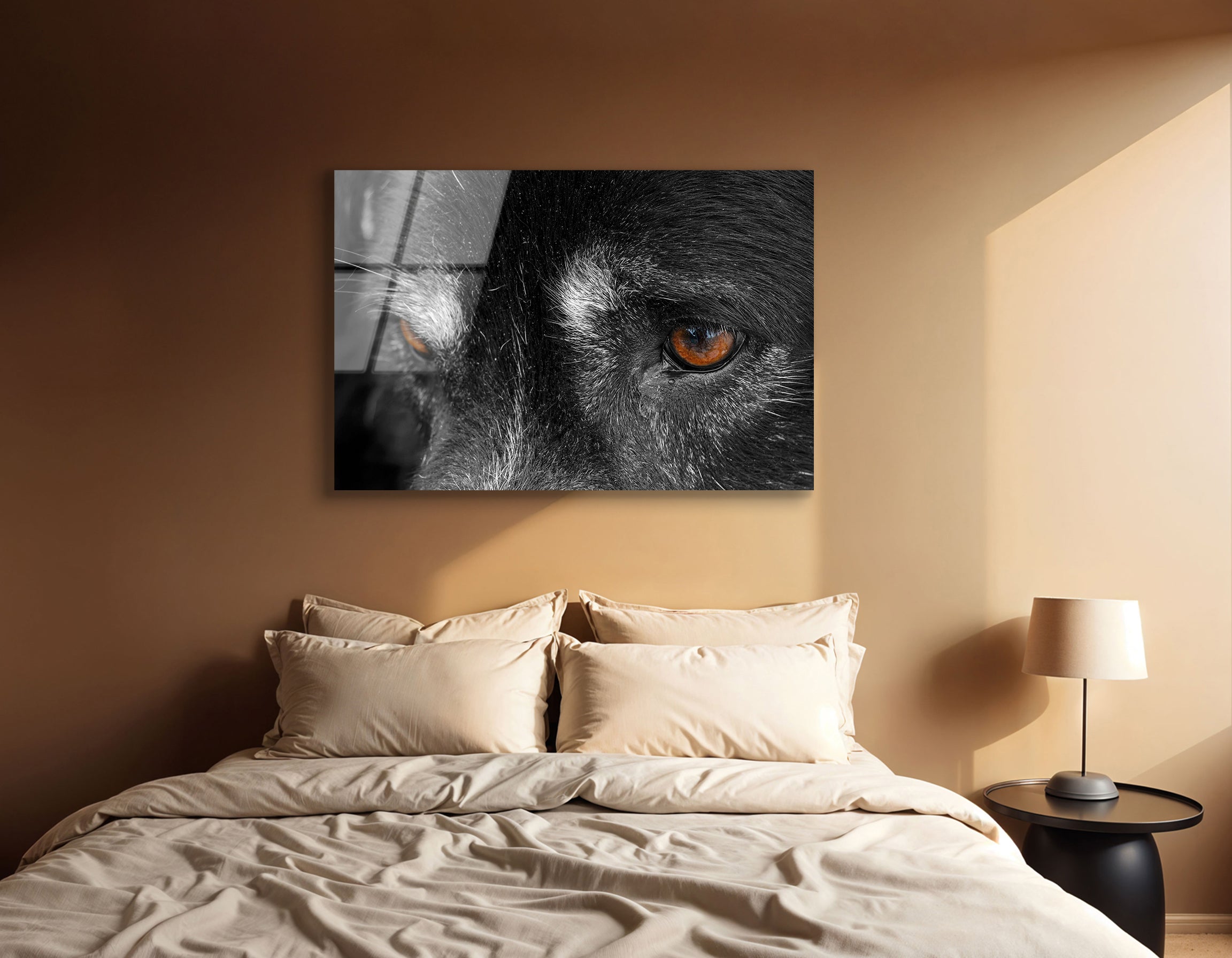 Close-Up of Dog's Eye | Premium HD Metal Wall Art