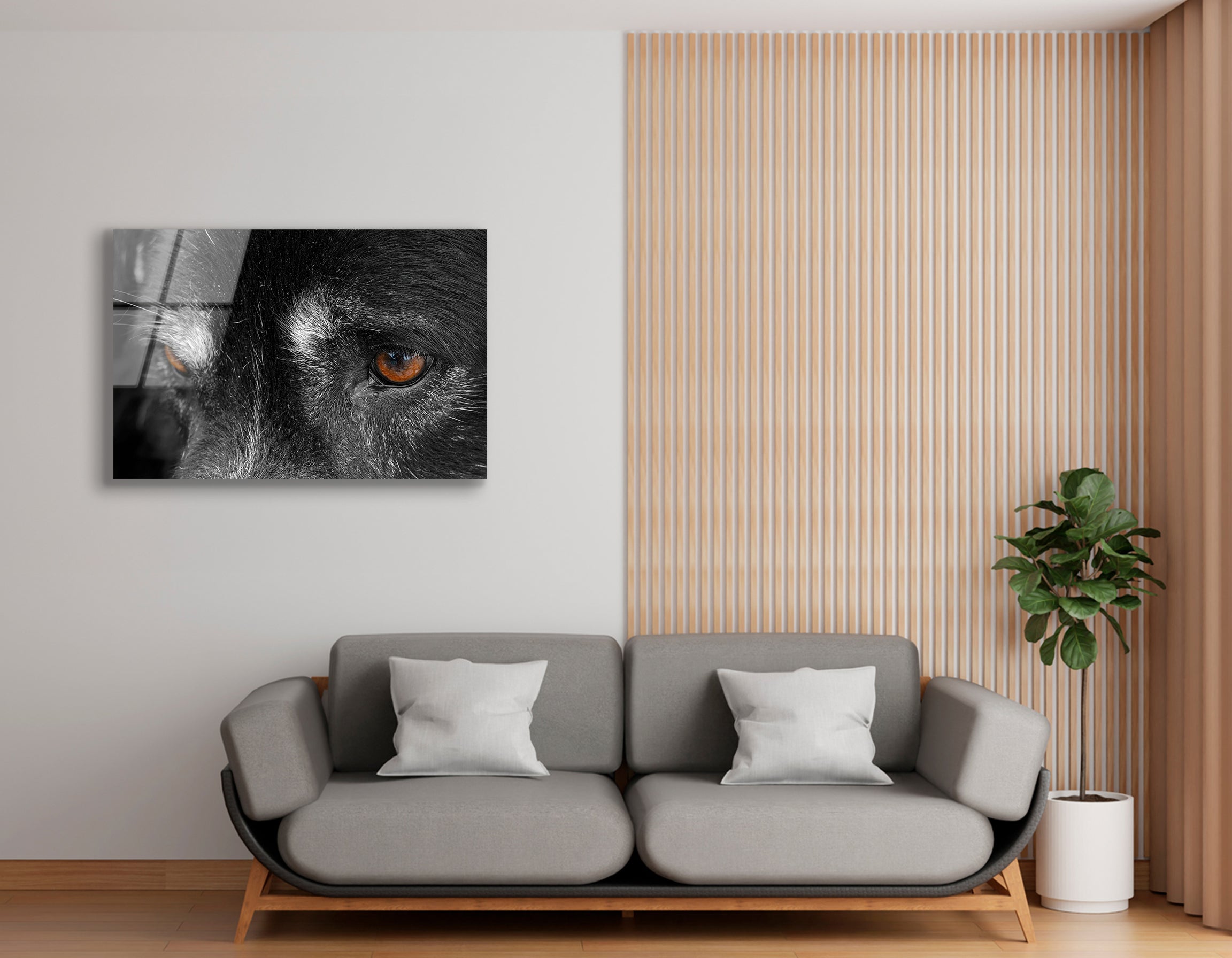 Close-Up of Dog's Eye | Premium HD Metal Wall Art
