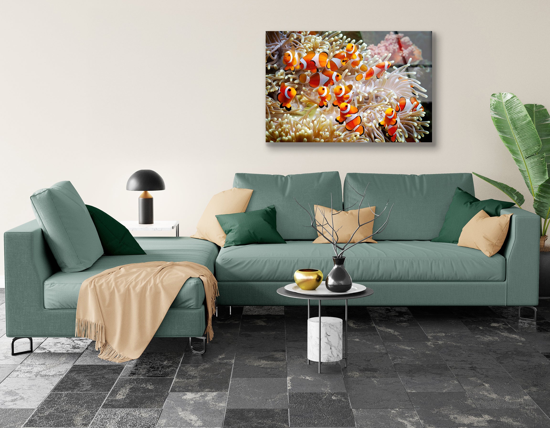 Cute Anemone Fish Playing on the Coral Reef | Premium HD Metal Wall Art