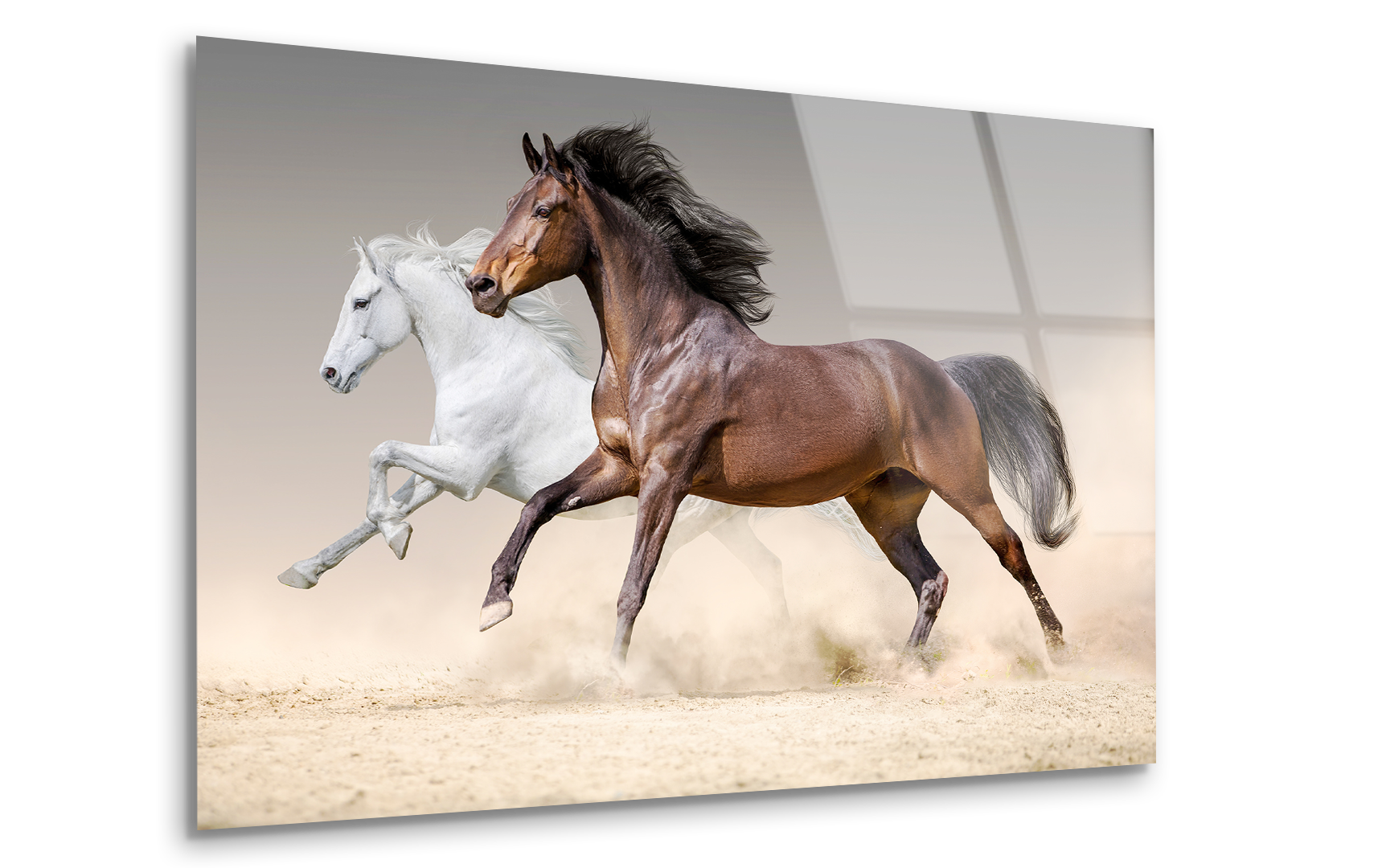 Two Horses Running Free in Desert Sand | Premium HD Metal Wall Art