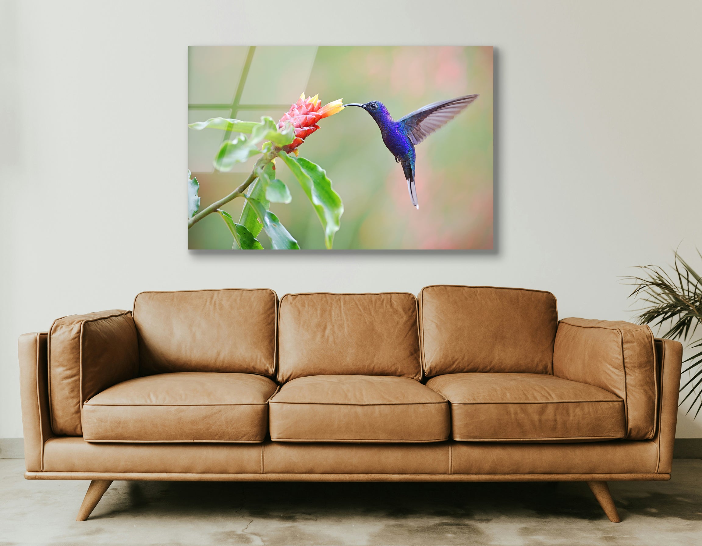 Violet Hummingbird on Flower | Premium HD Metal Wall Art