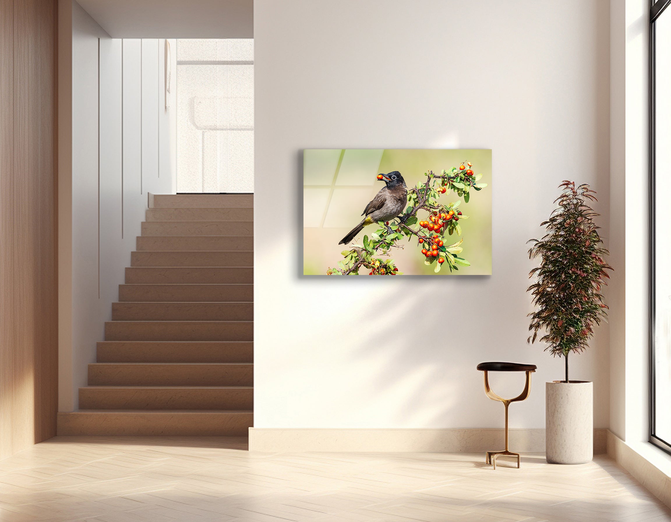 White-Spectacled Bulbul Feeding | Premium HD Metal Wall Art