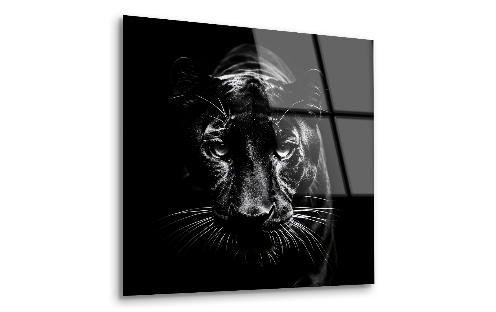 Black Panther on Black Background | Premium HD Metal Wall Art