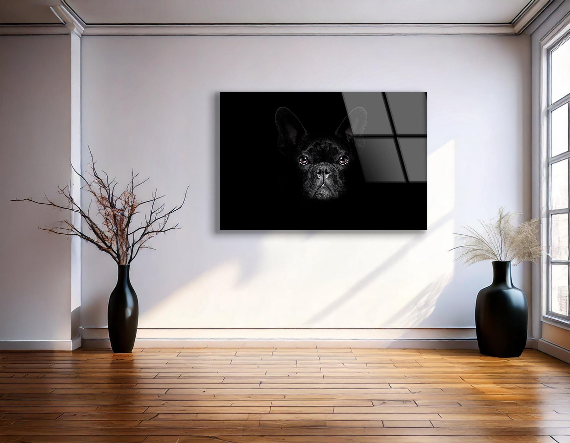 Bulldog Dog Frontal Look | Premium HD Metal Wall Art