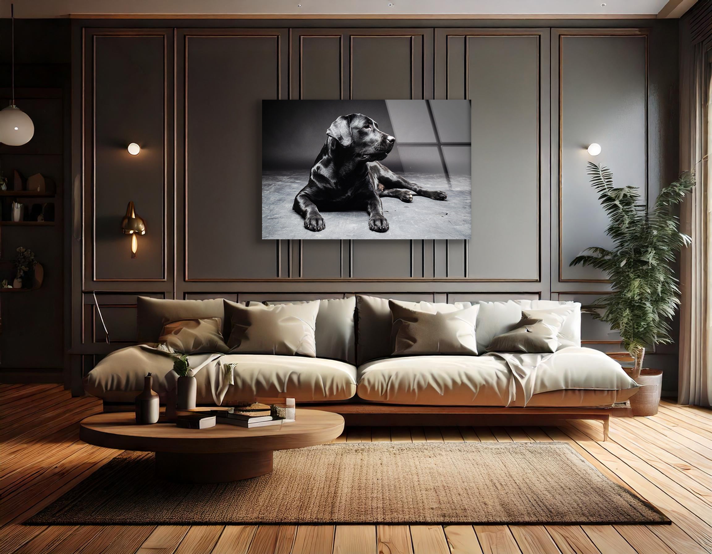 Labrador Retriever Portrait | Premium HD Metal Wall Art