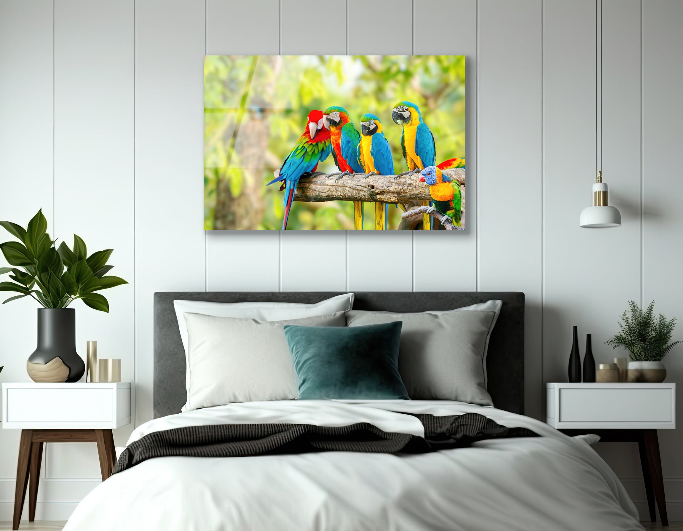 Parrots on Perch | Premium HD Metal Wall Art